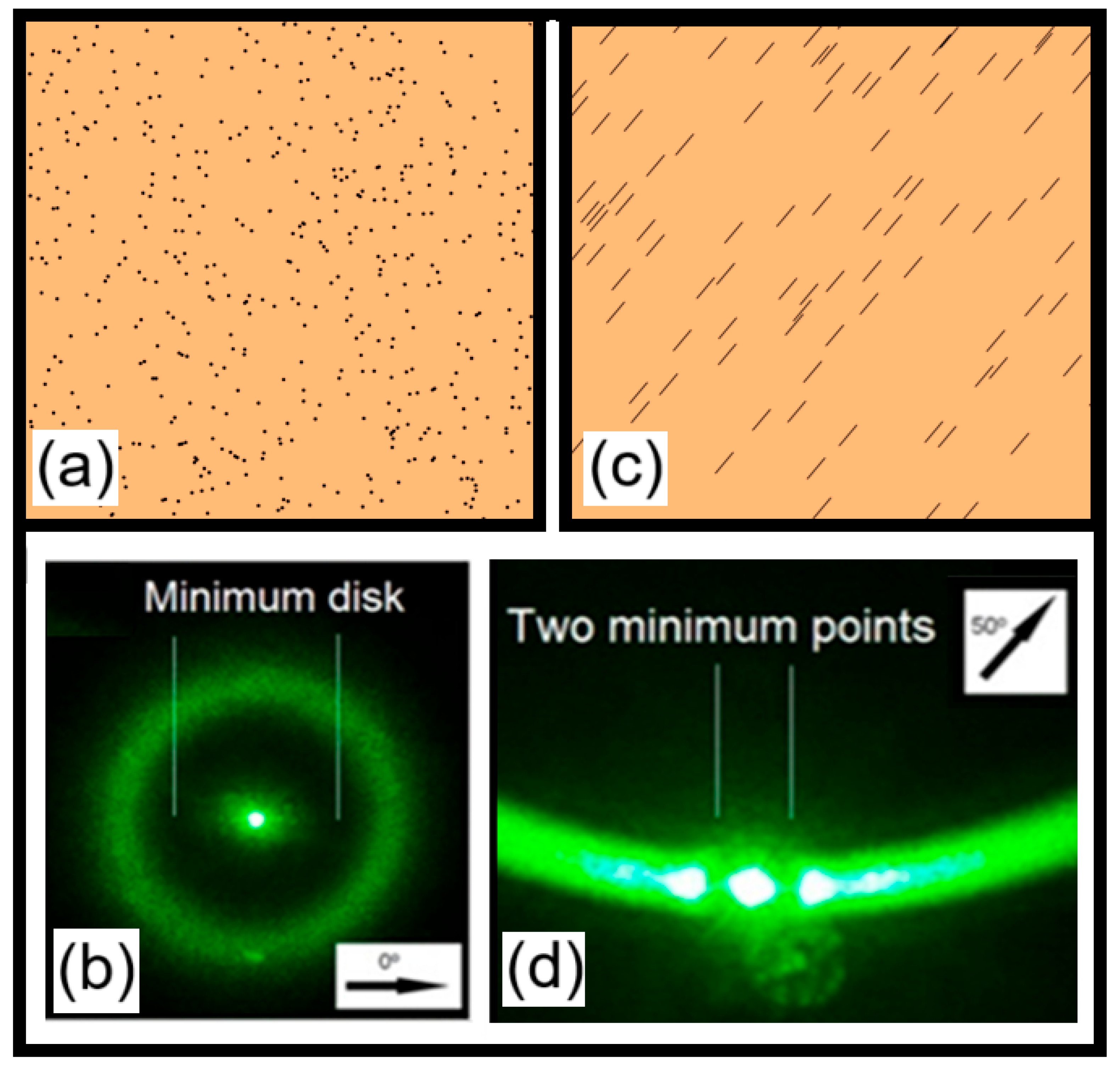 Preprints 170145 g011