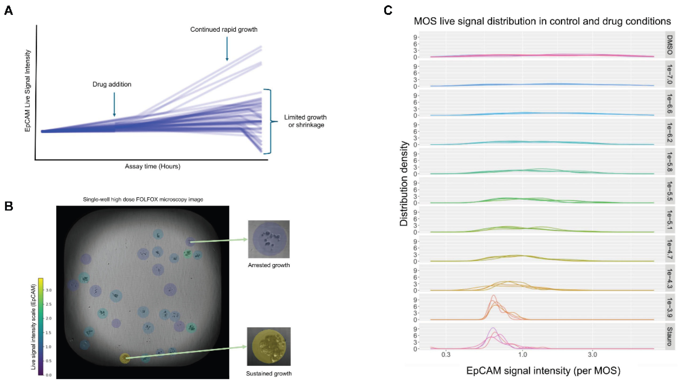 Preprints 201172 g001