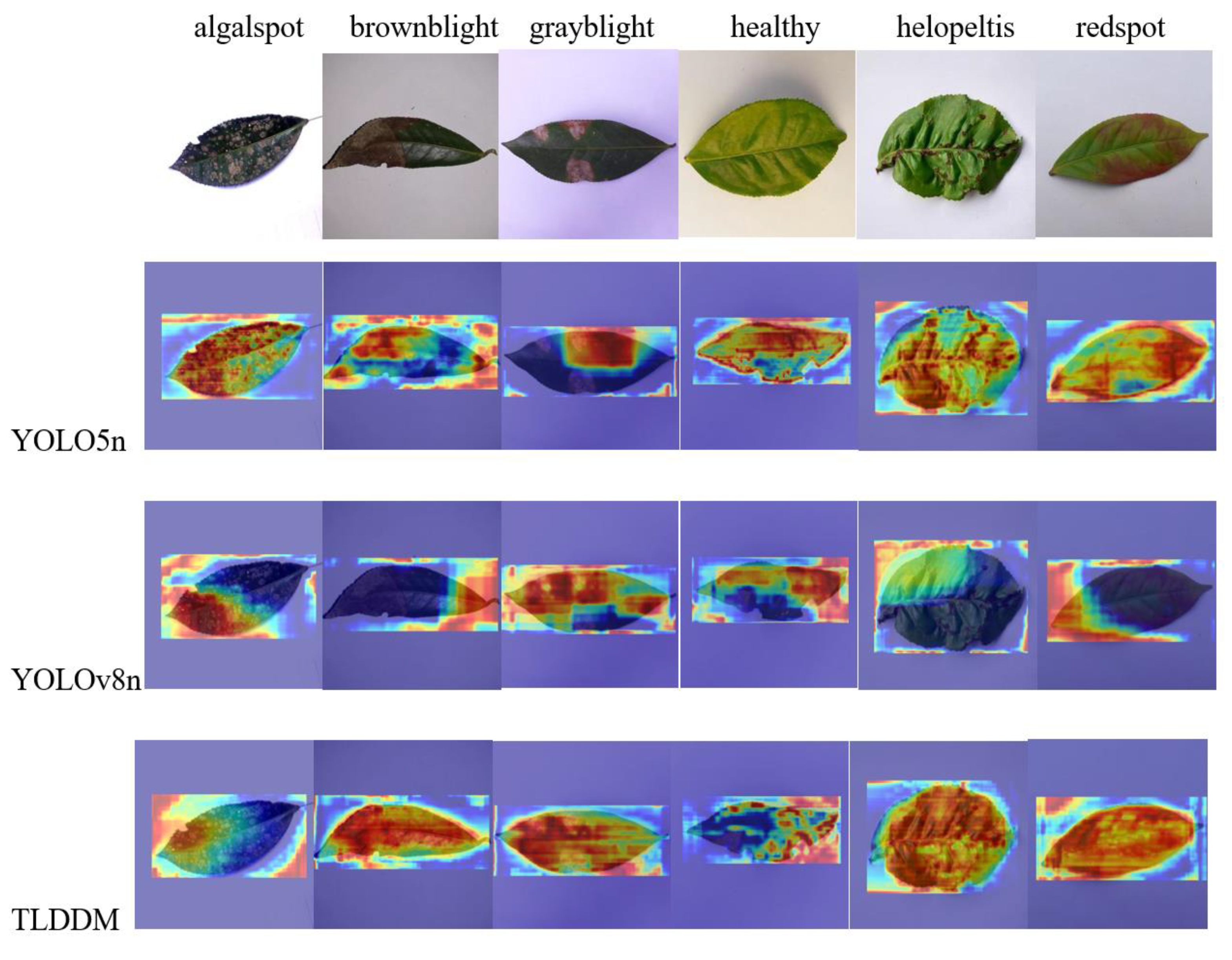 Preprints 148867 g013