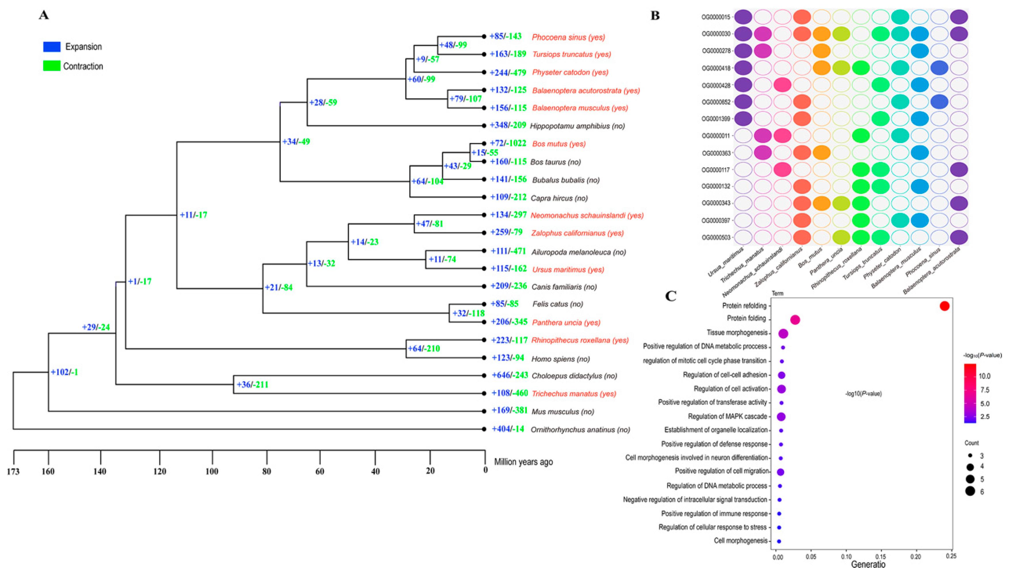 Preprints 167649 g002