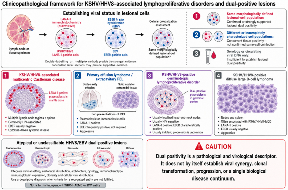 Preprints 227299 g001 Preprints 227299 g001