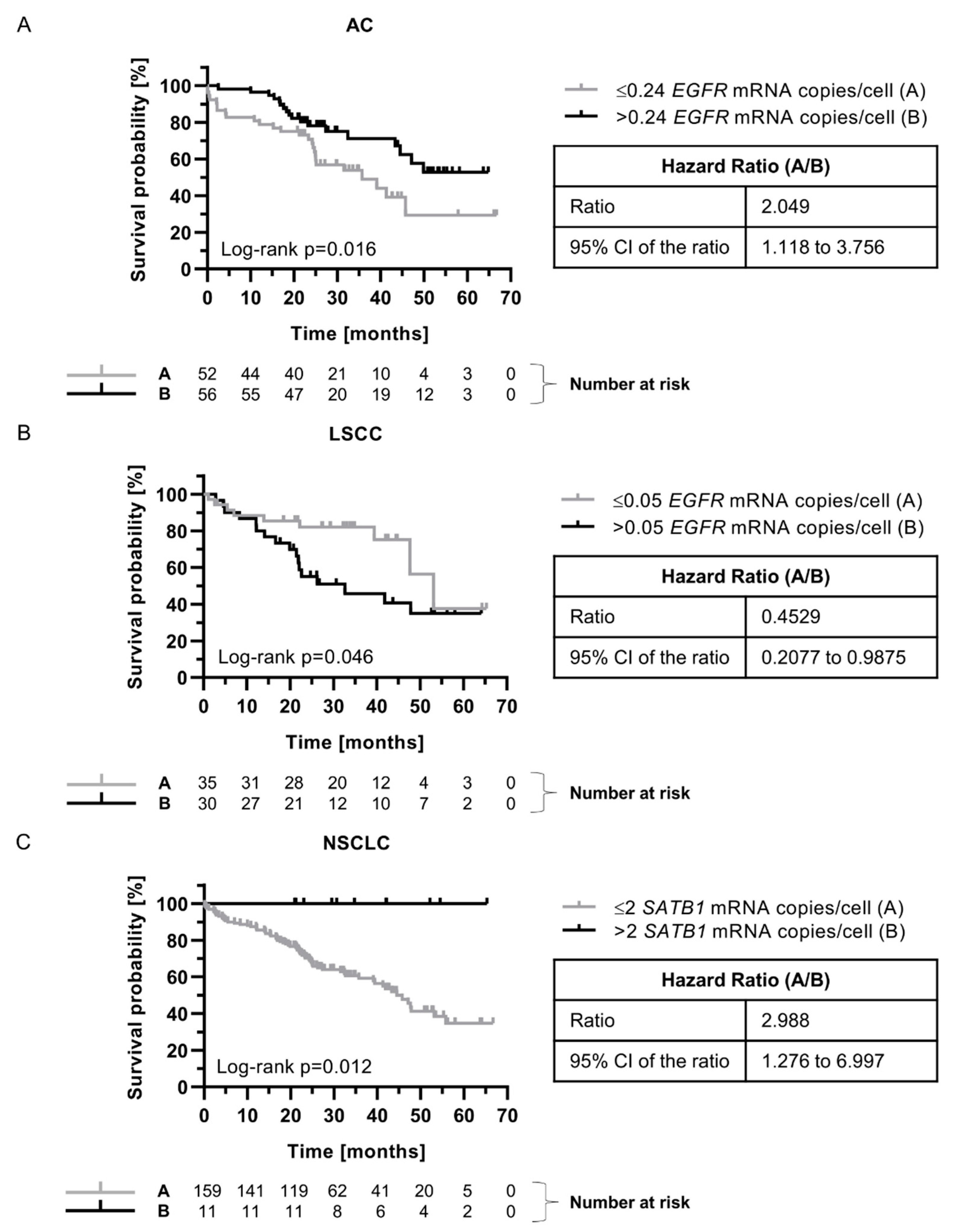 Preprints 142515 g007