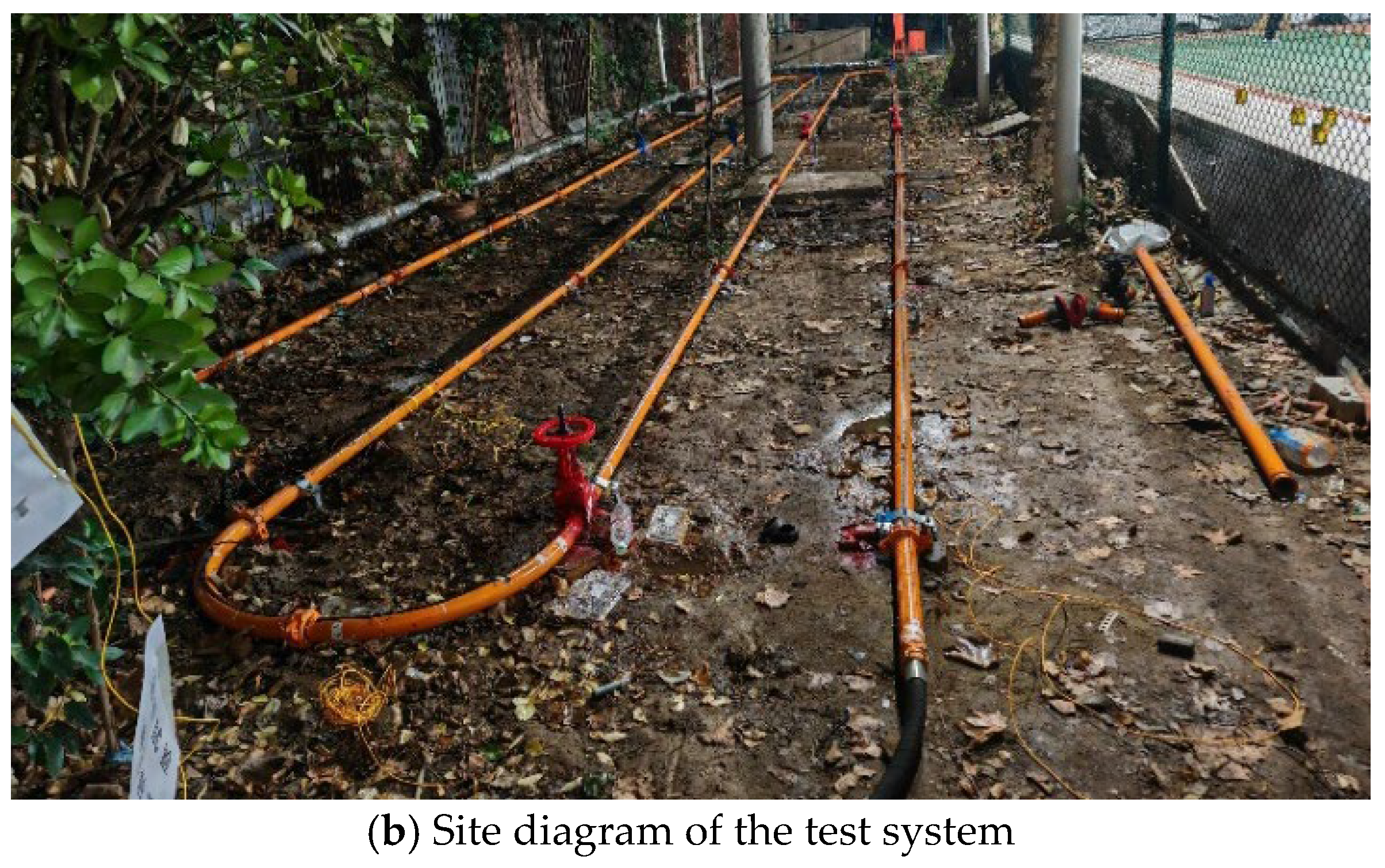 Preprints 143232 g001b