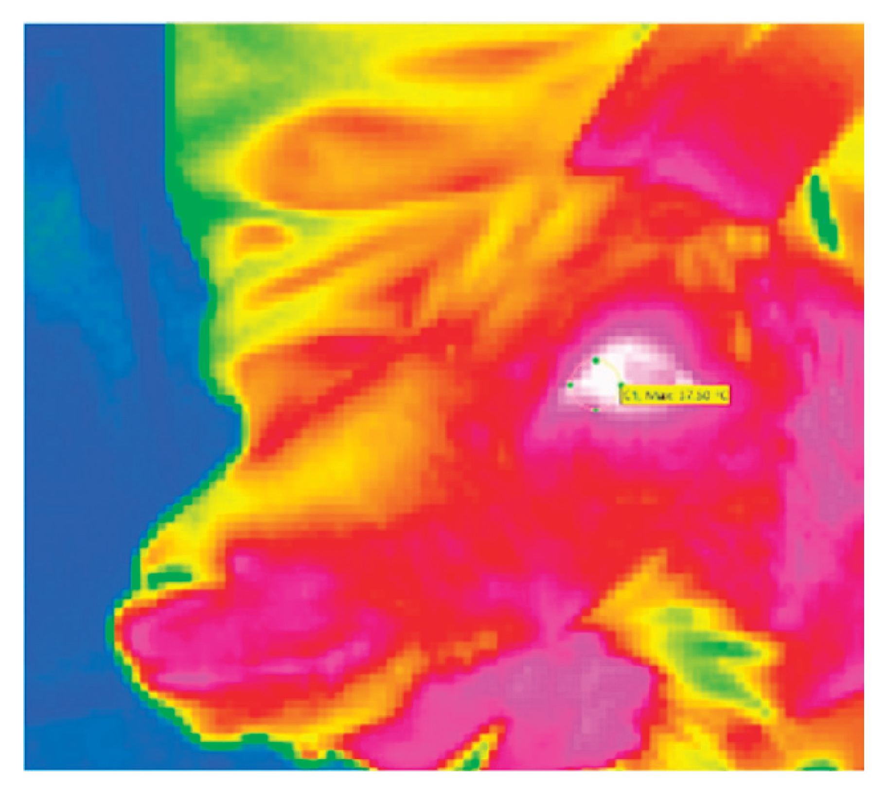 Preprints 186785 g002