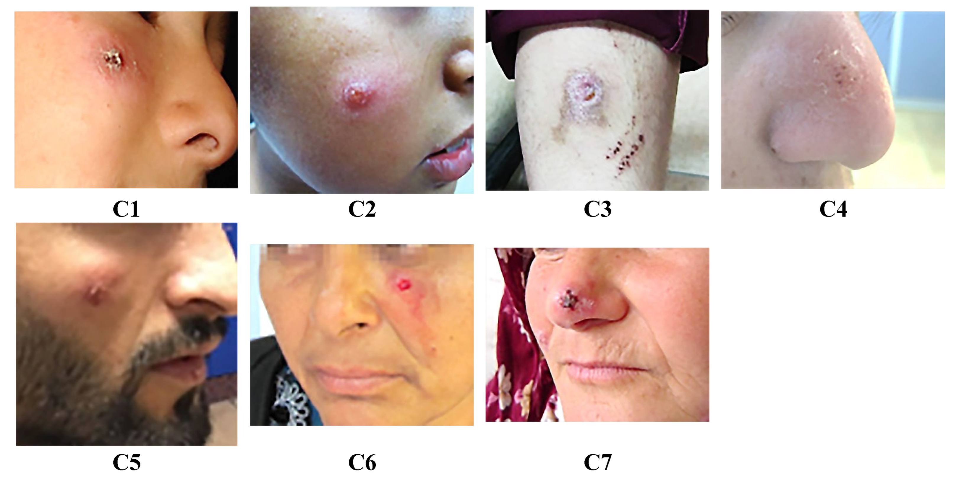 Preprints 155643 g001