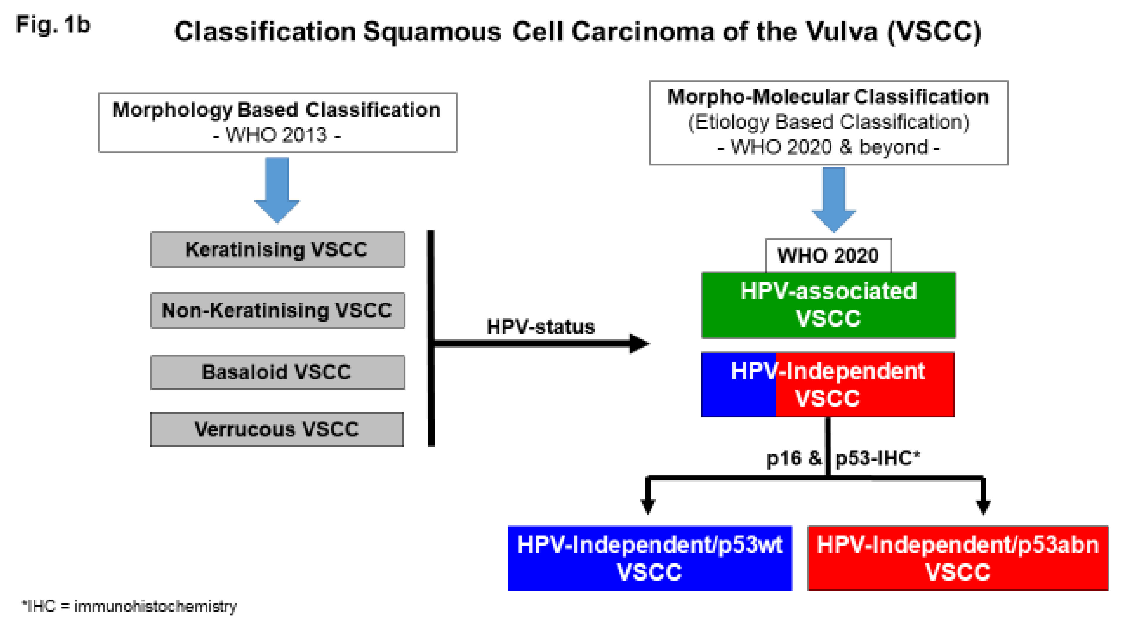 Preprints 122046 g001b