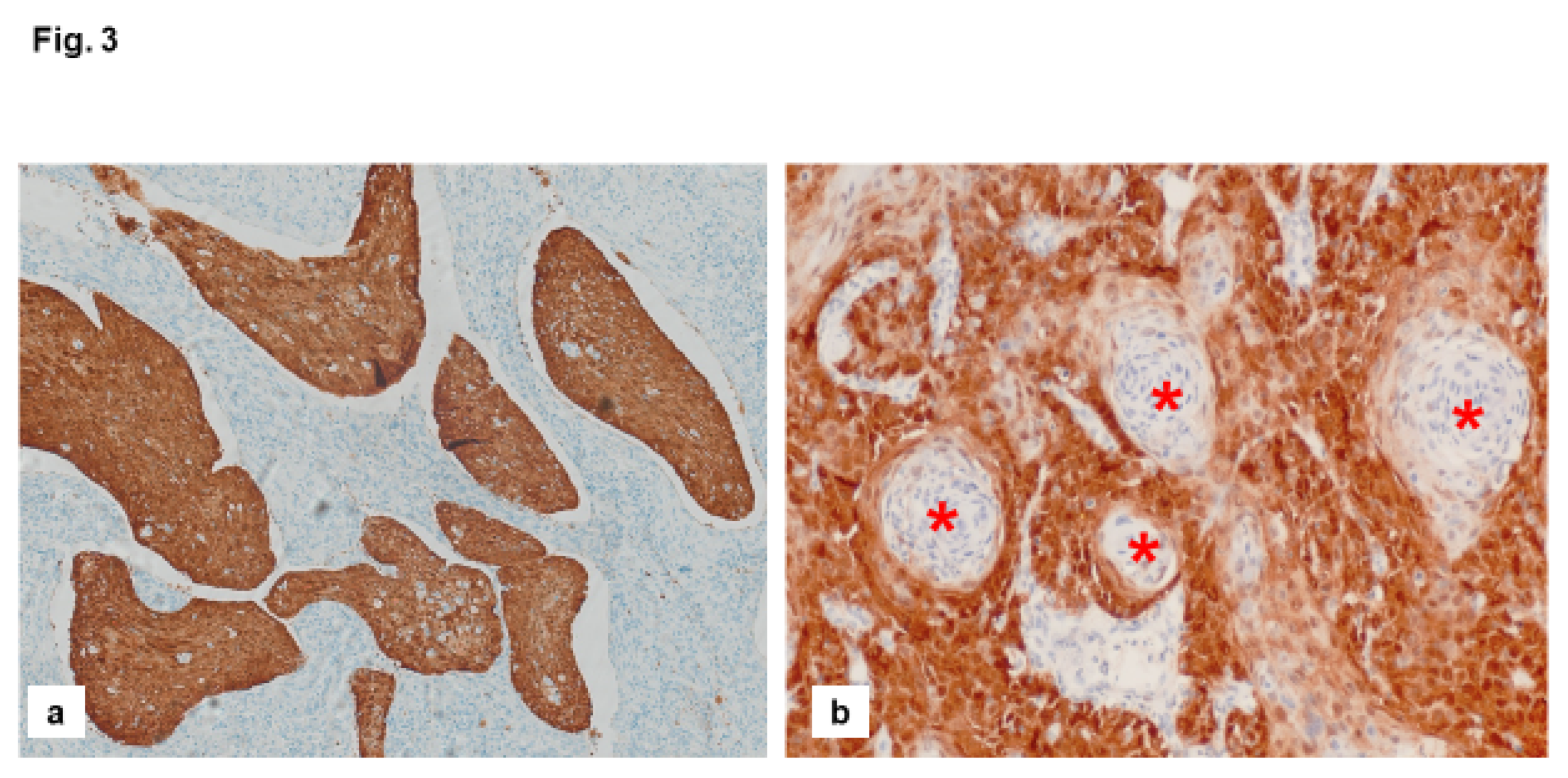 Preprints 122046 g003