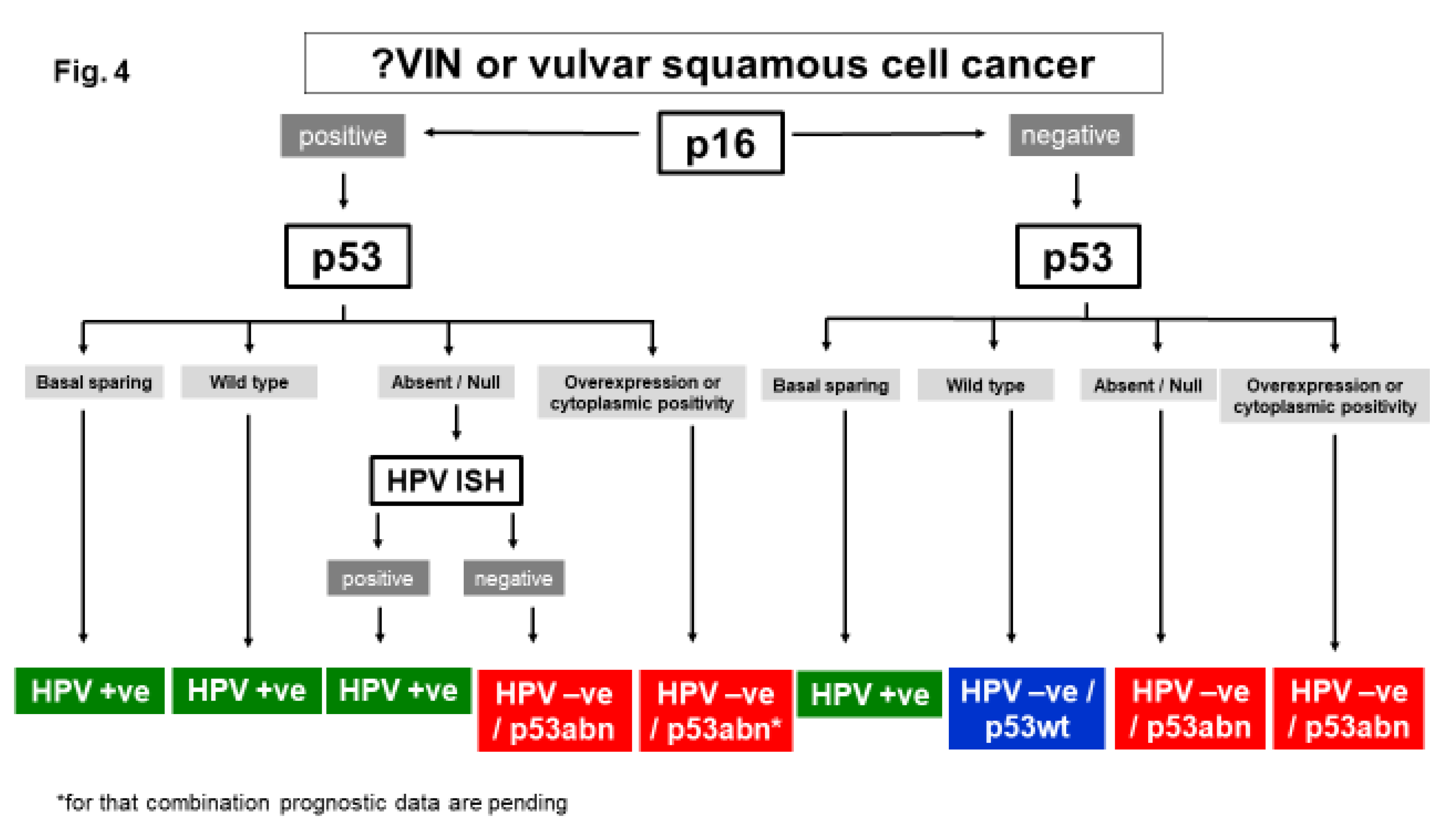Preprints 122046 g004