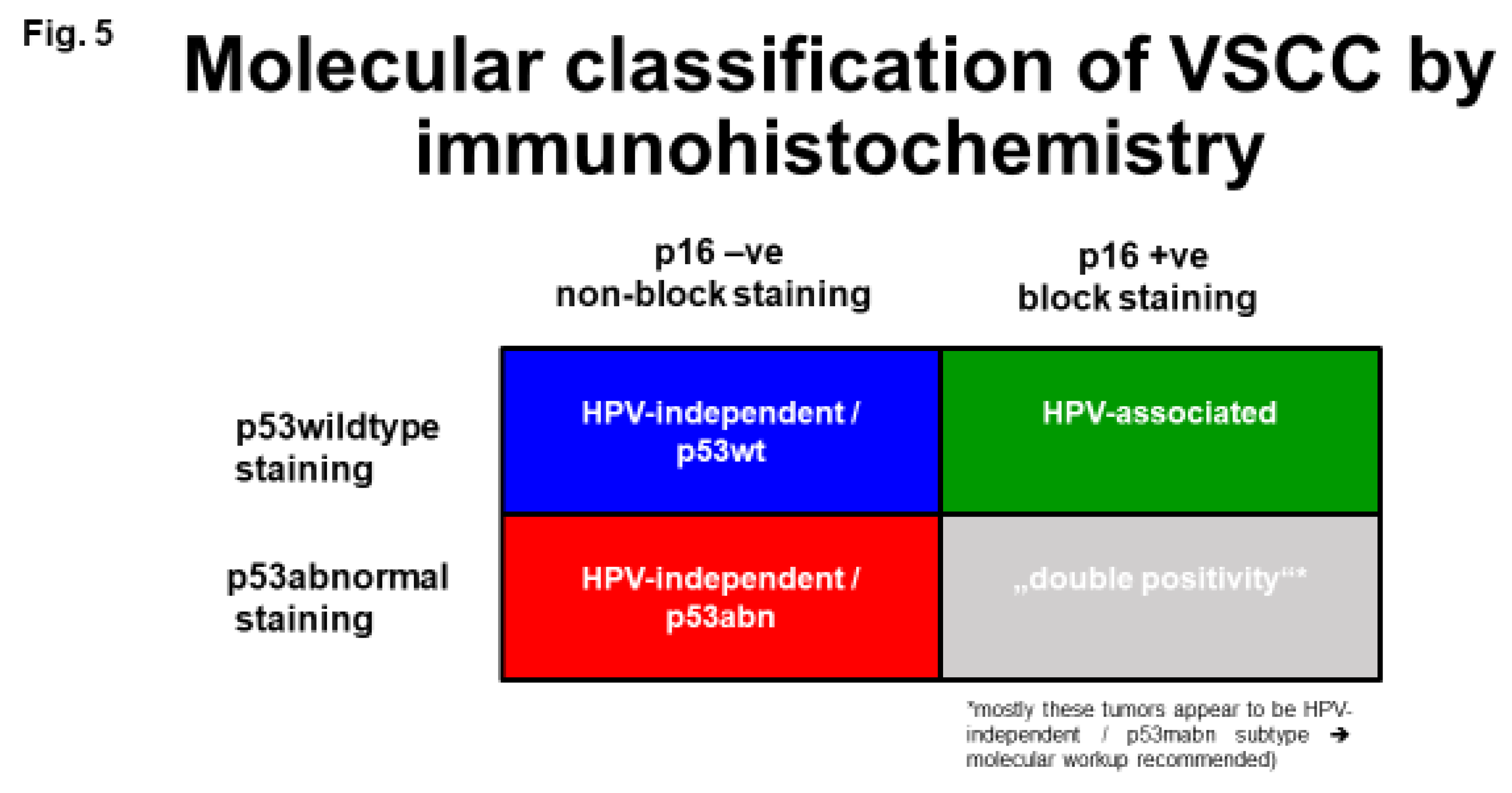 Preprints 122046 g005