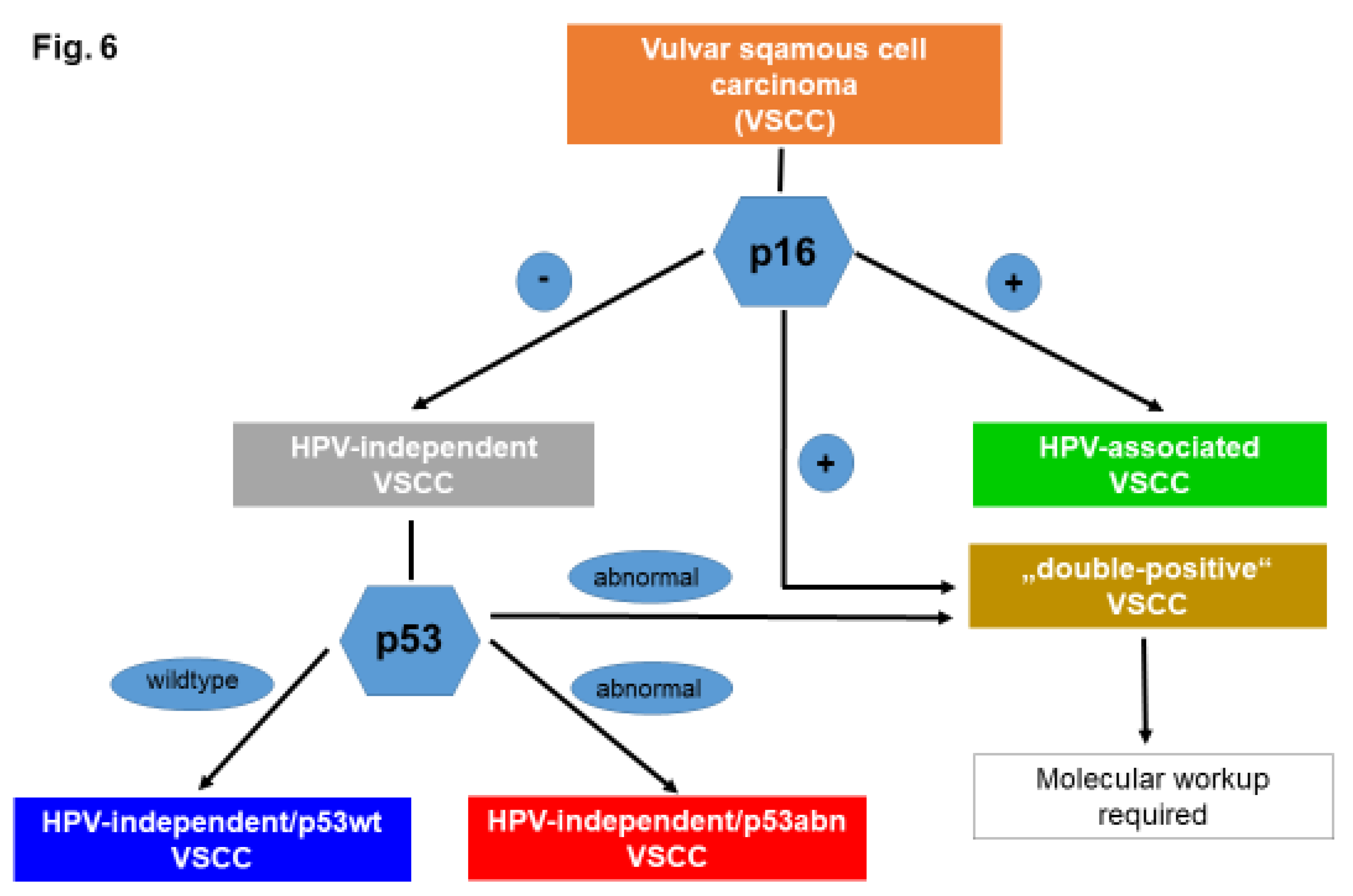 Preprints 122046 g006