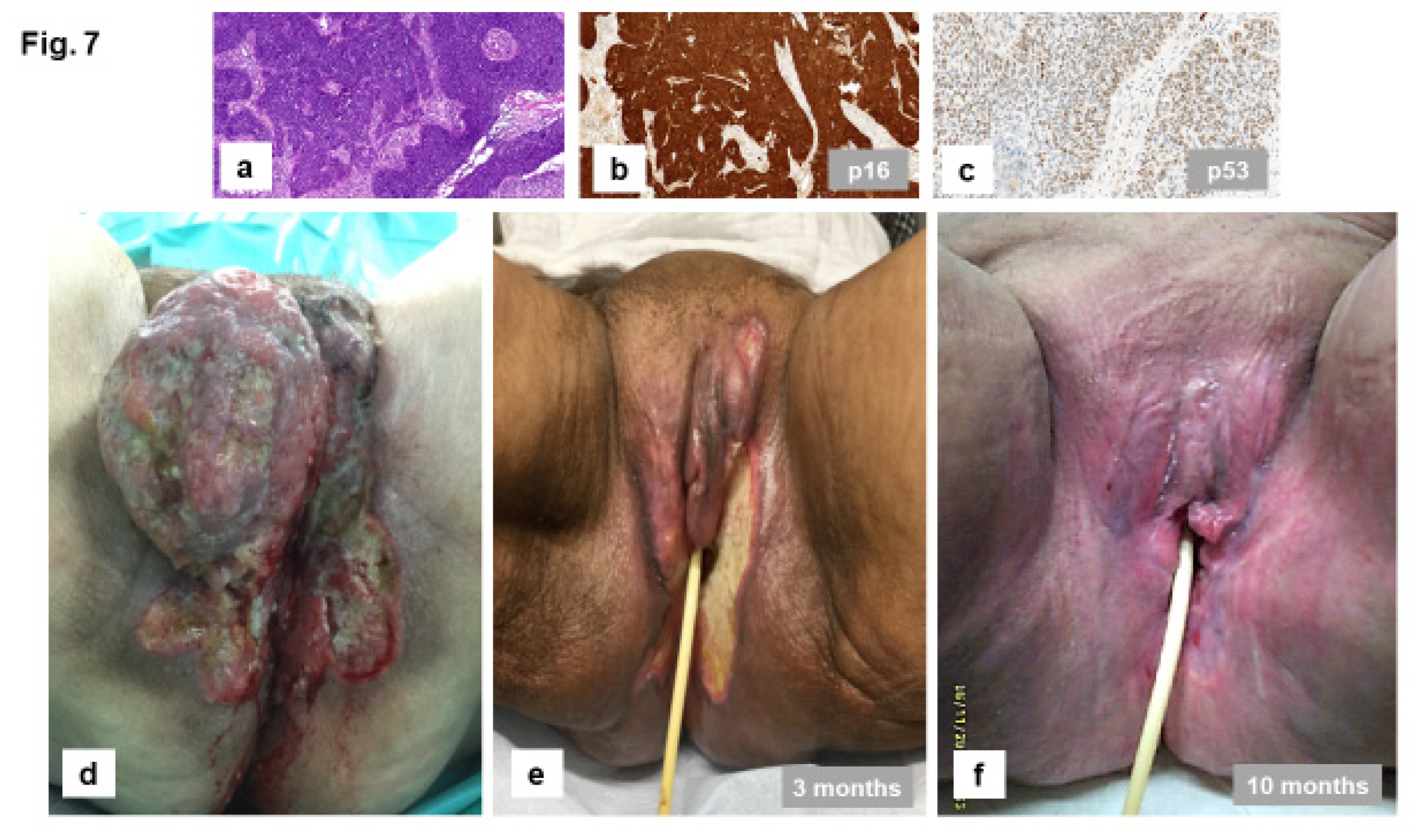 Preprints 122046 g007