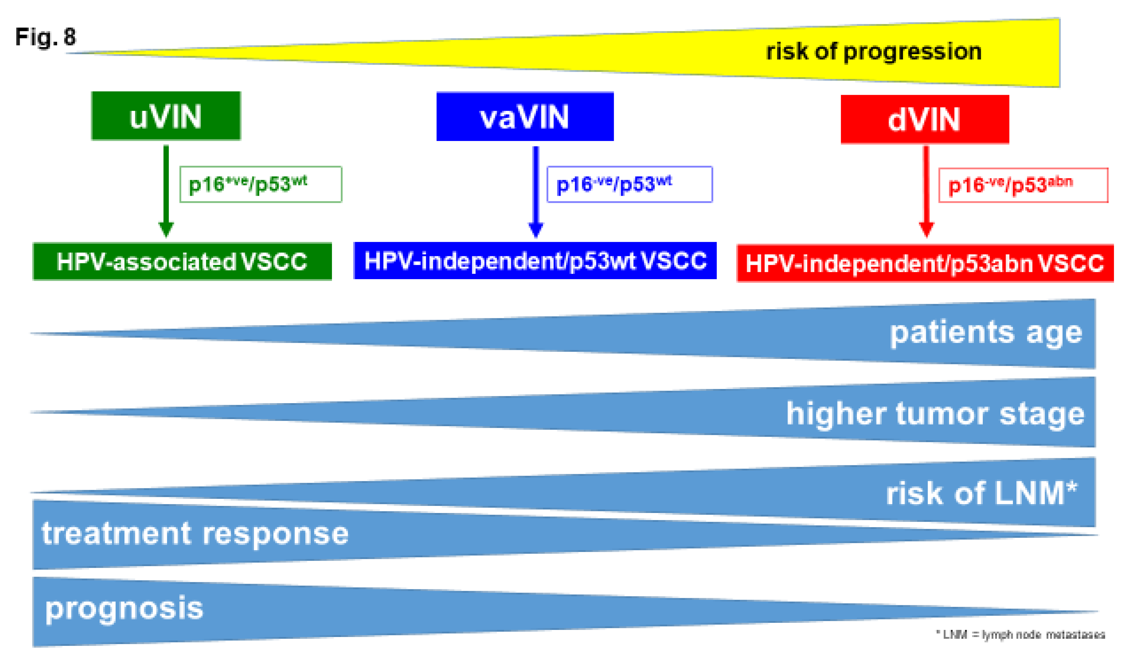 Preprints 122046 g008