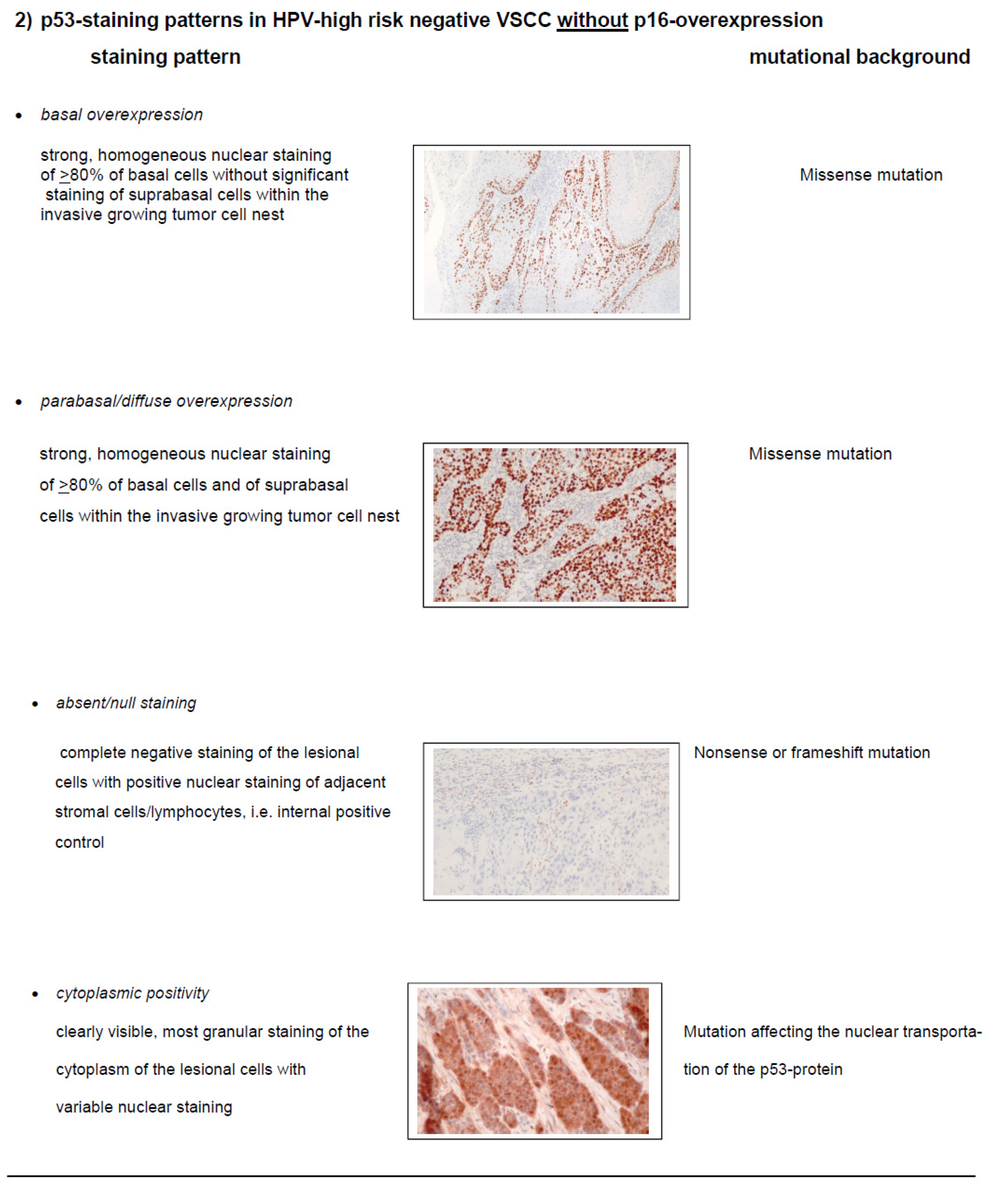 Preprints 122046 i001b