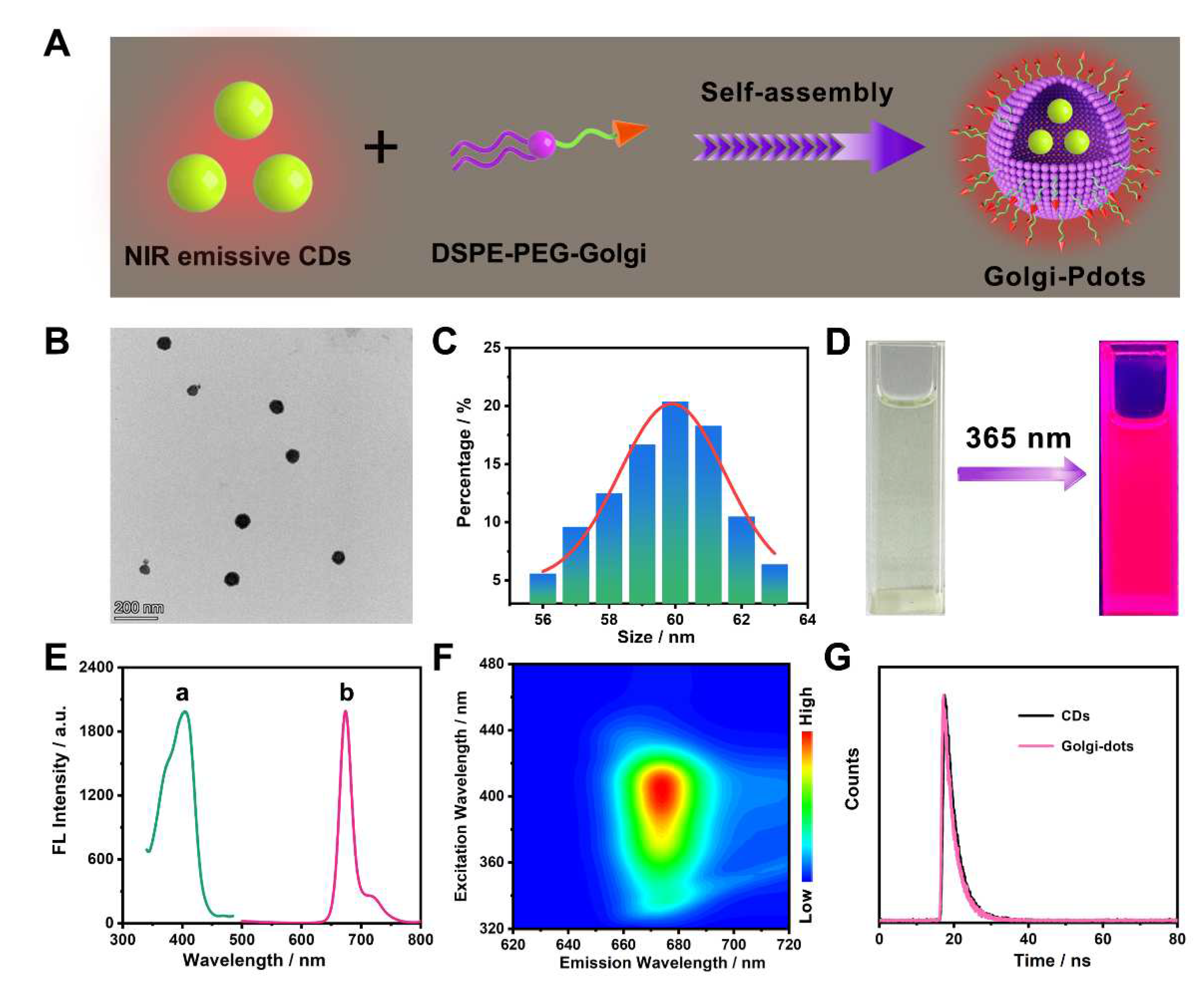 Preprints 81448 g003