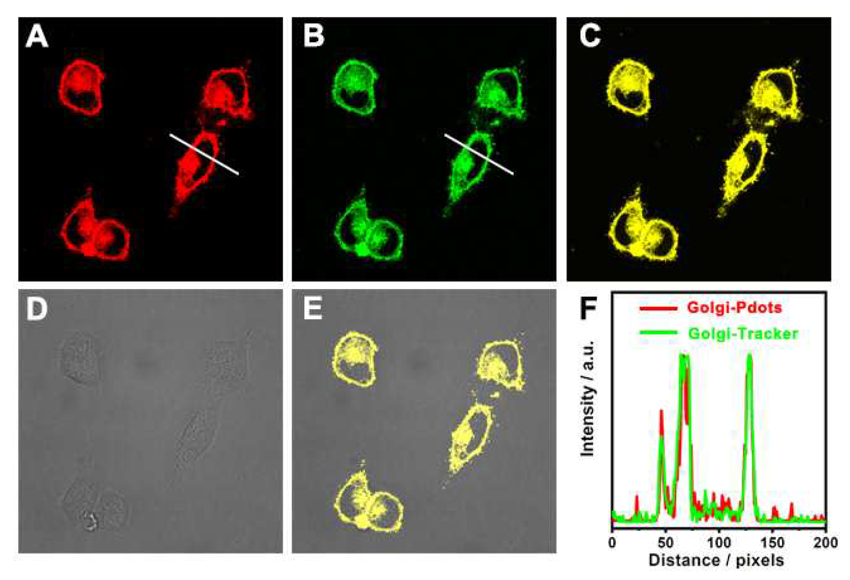 Preprints 81448 g006