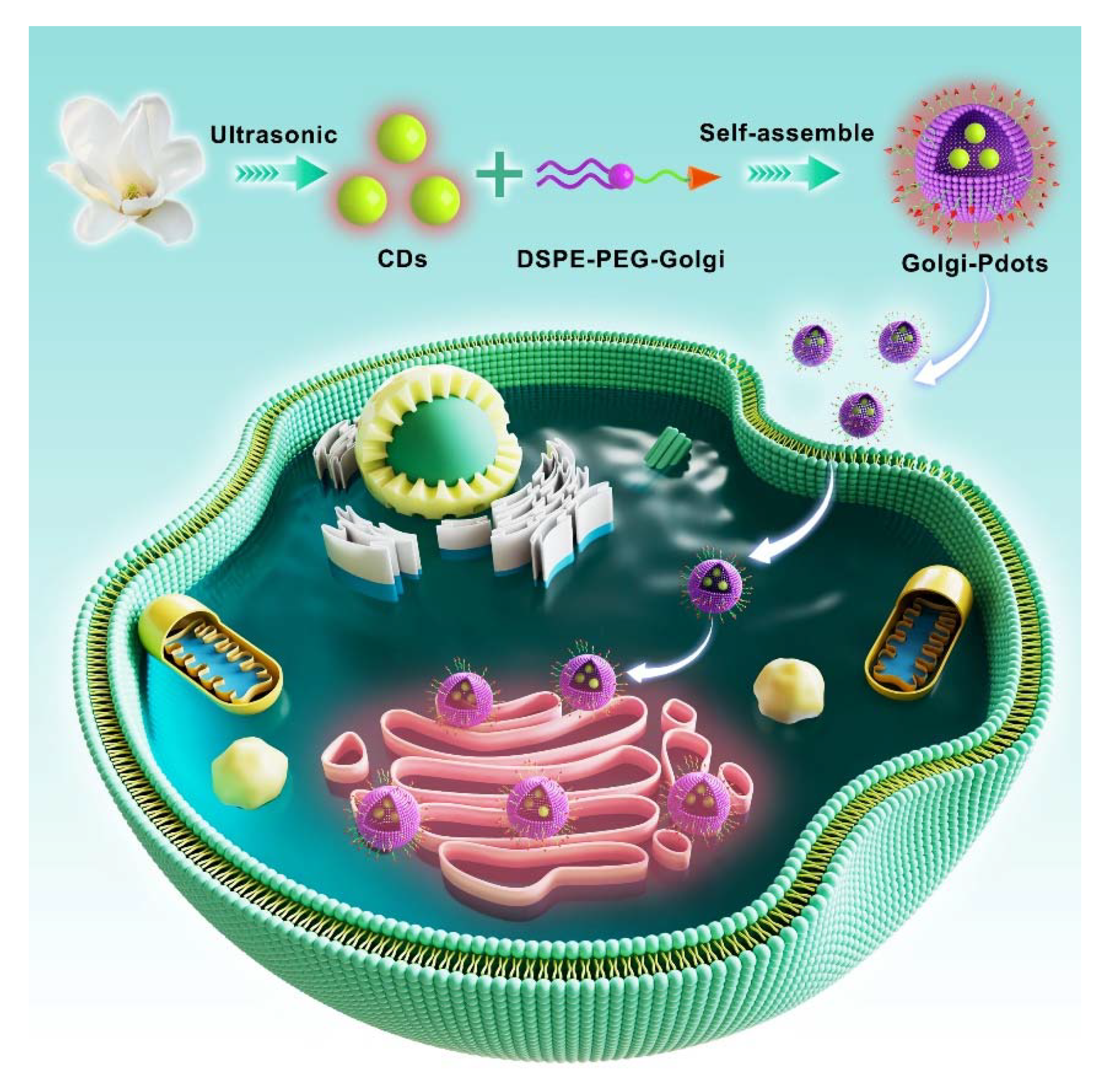 Preprints 81448 sch001