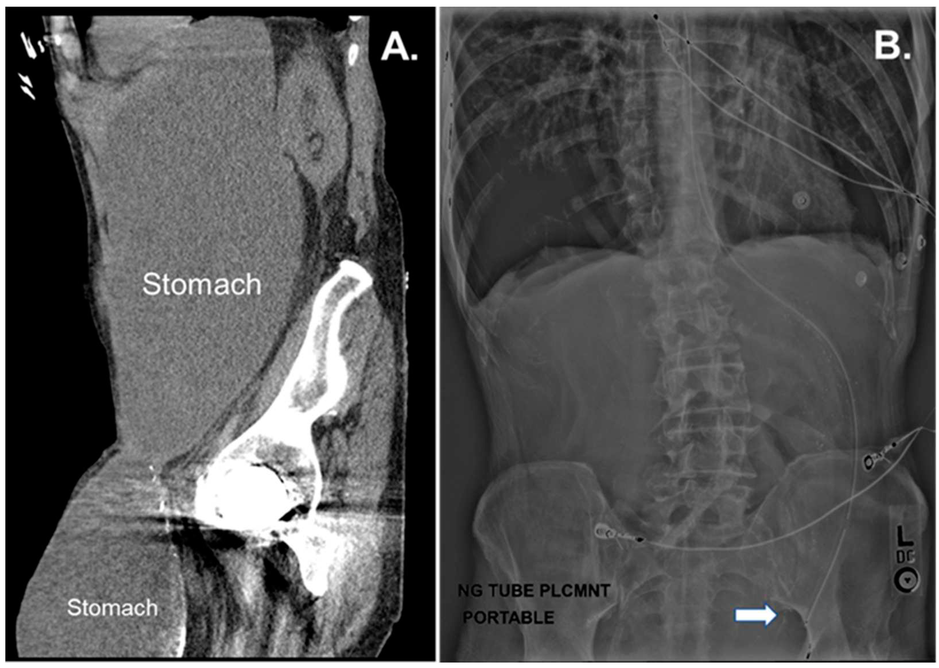 Preprints 91515 g002