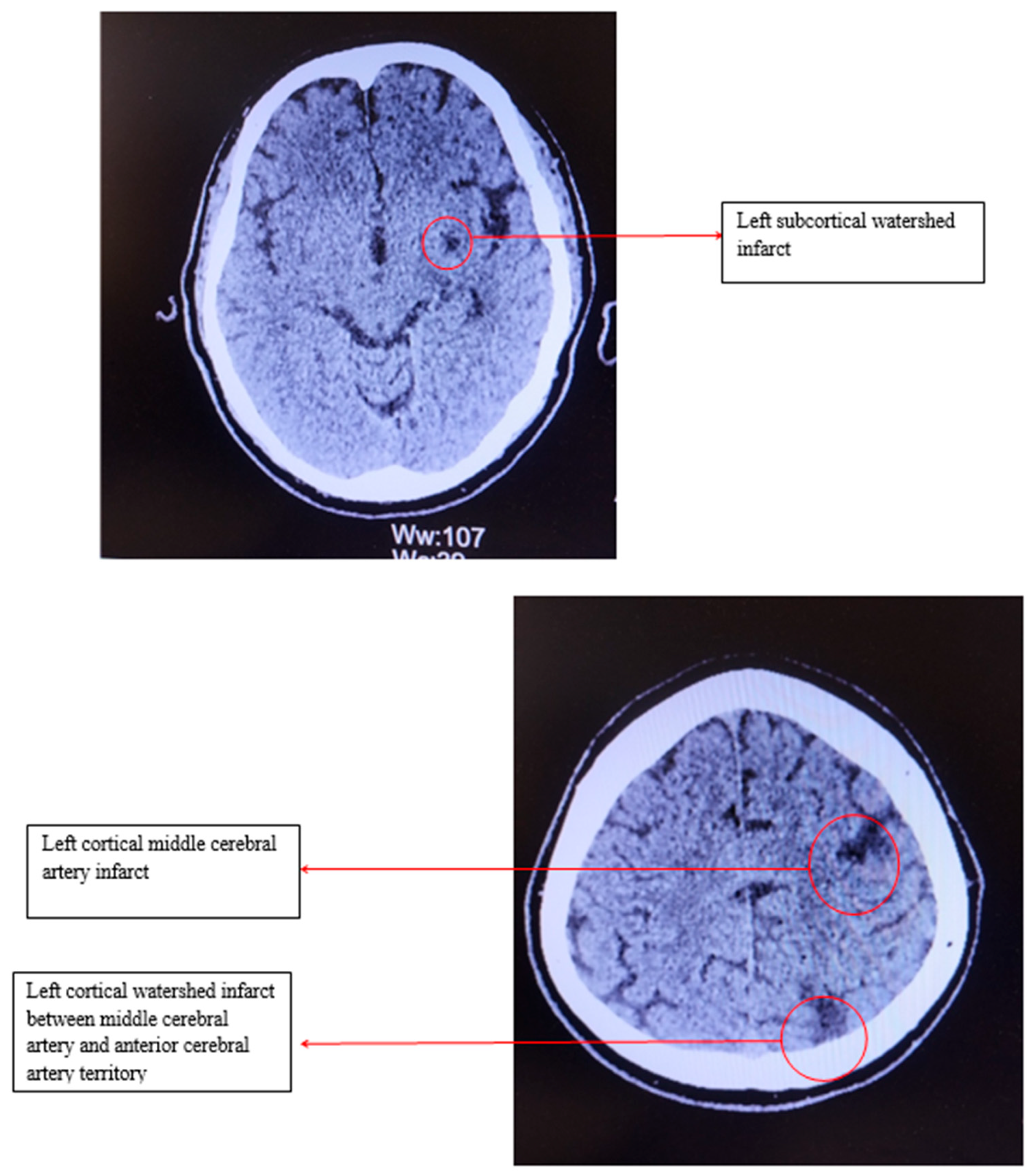 Preprints 154570 g001