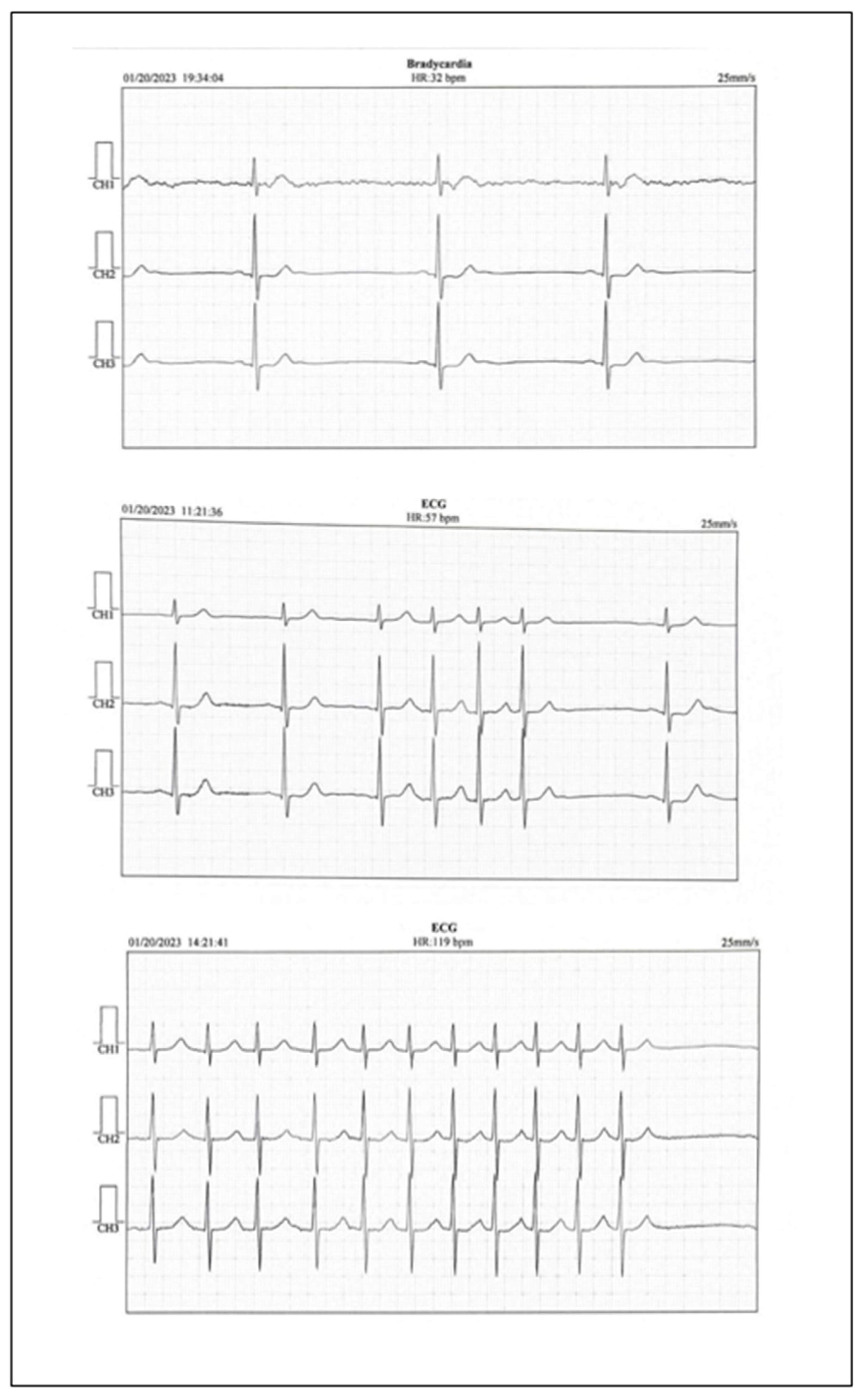 Preprints 154570 g002