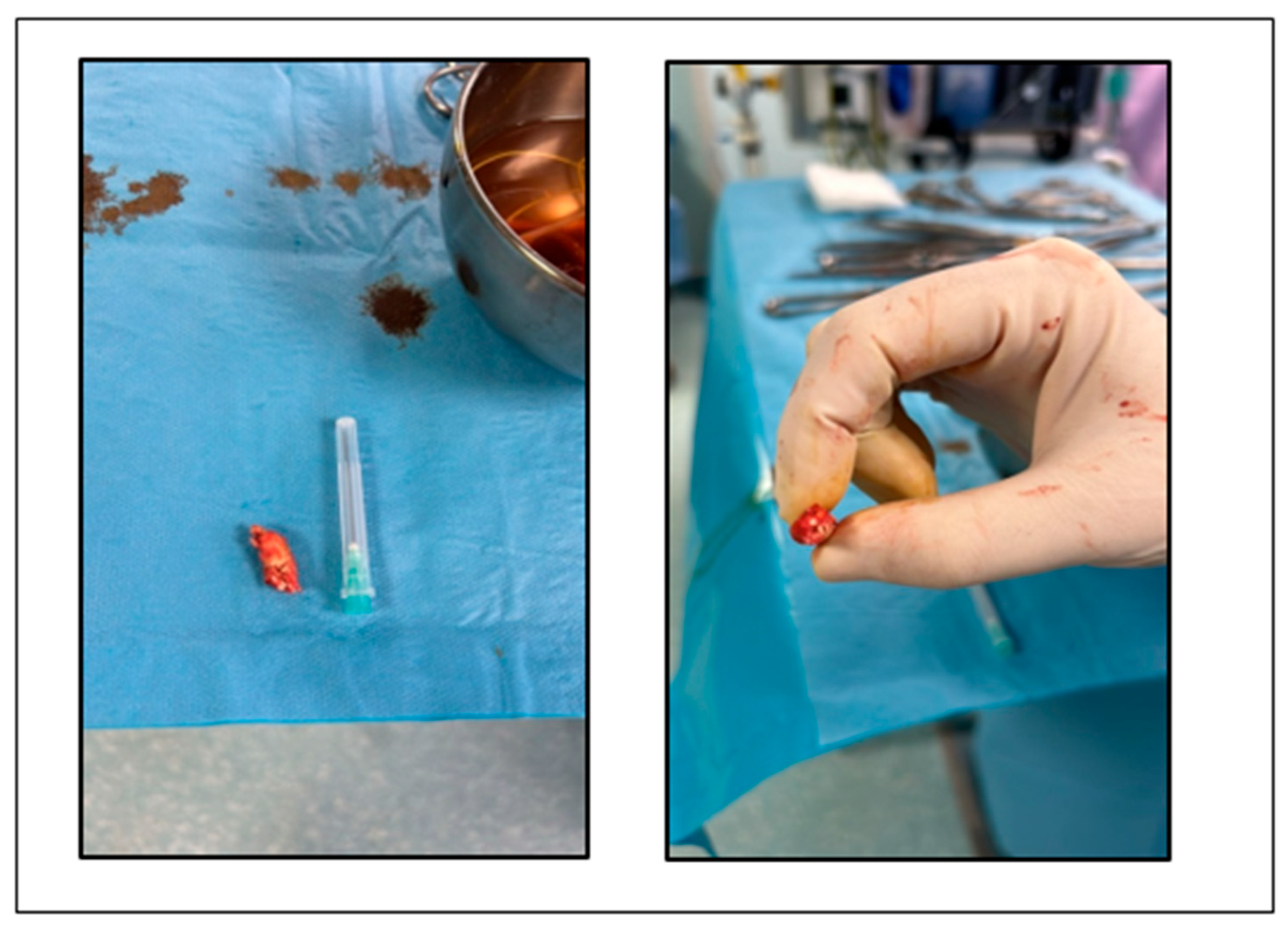 Preprints 154570 g004