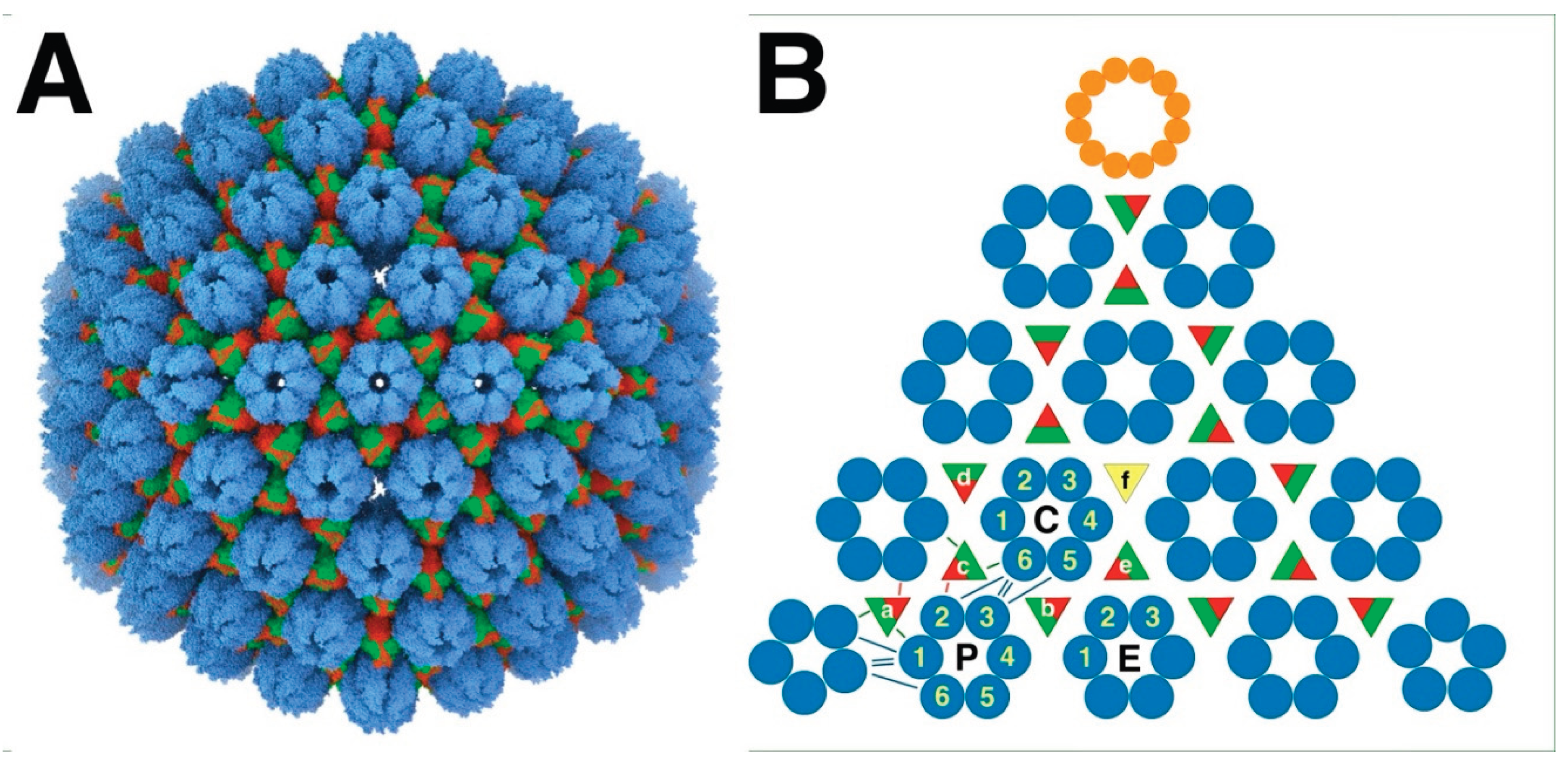 Preprints 169803 g001