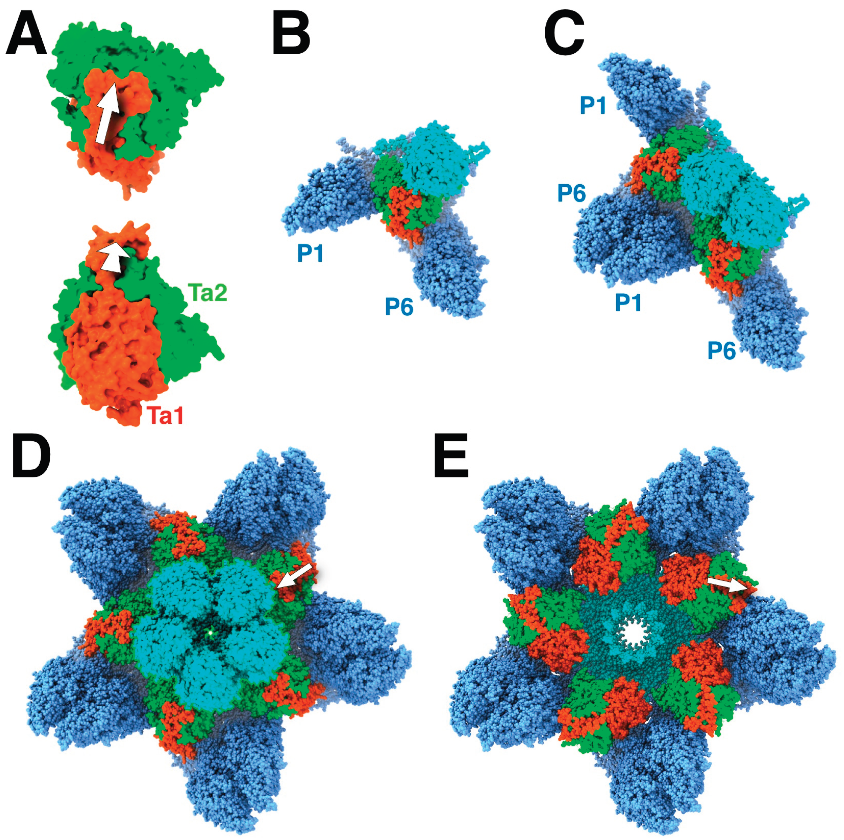 Preprints 169803 g003