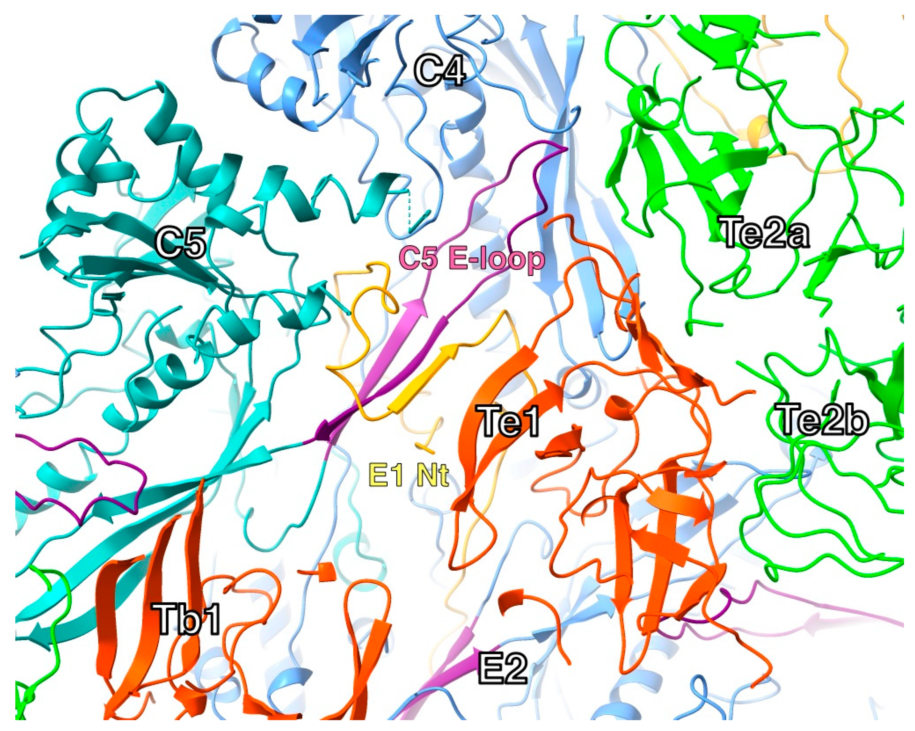 Preprints 169803 g007