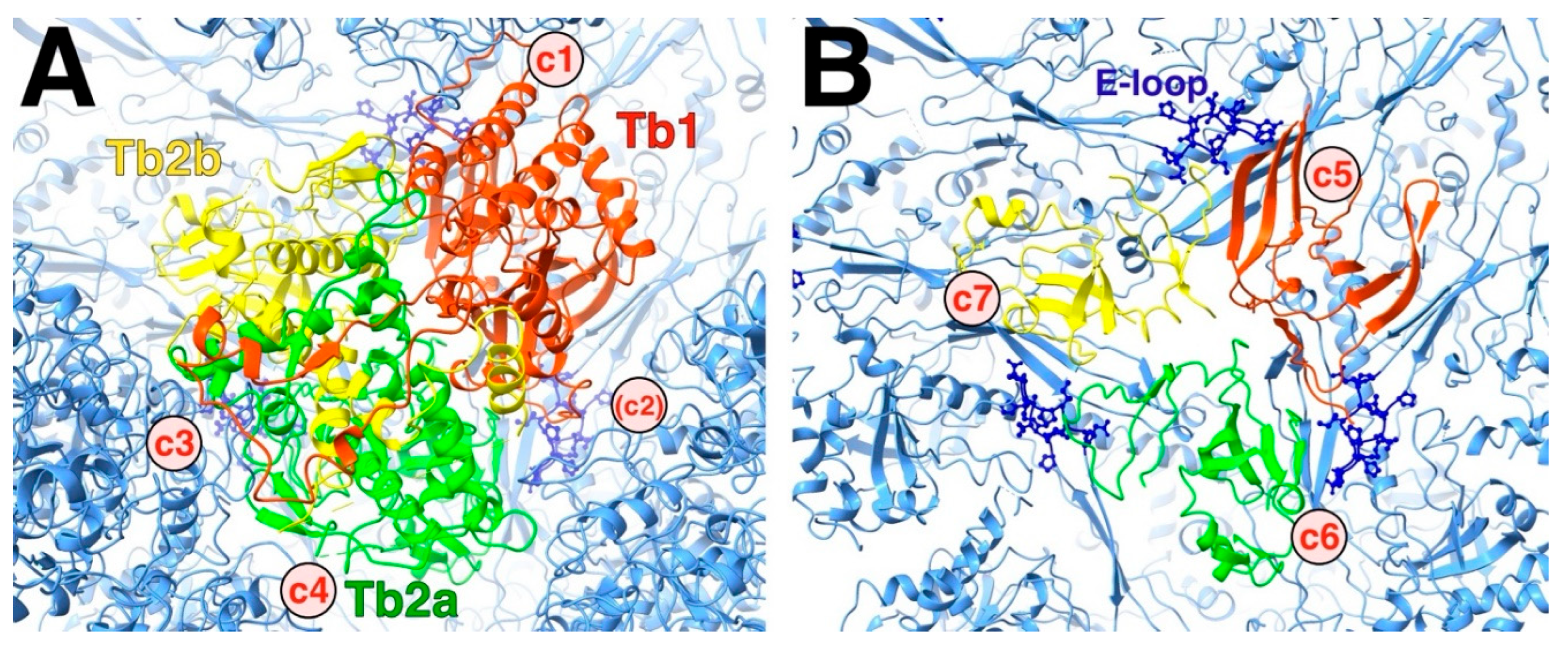 Preprints 169803 g011