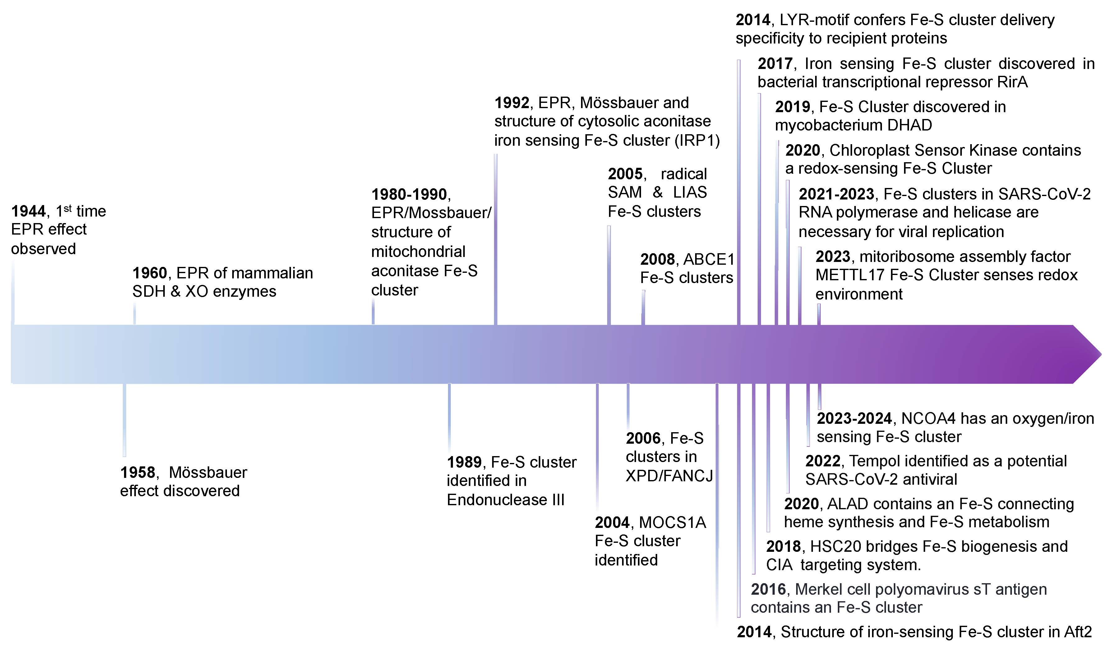 Preprints 99558 g001