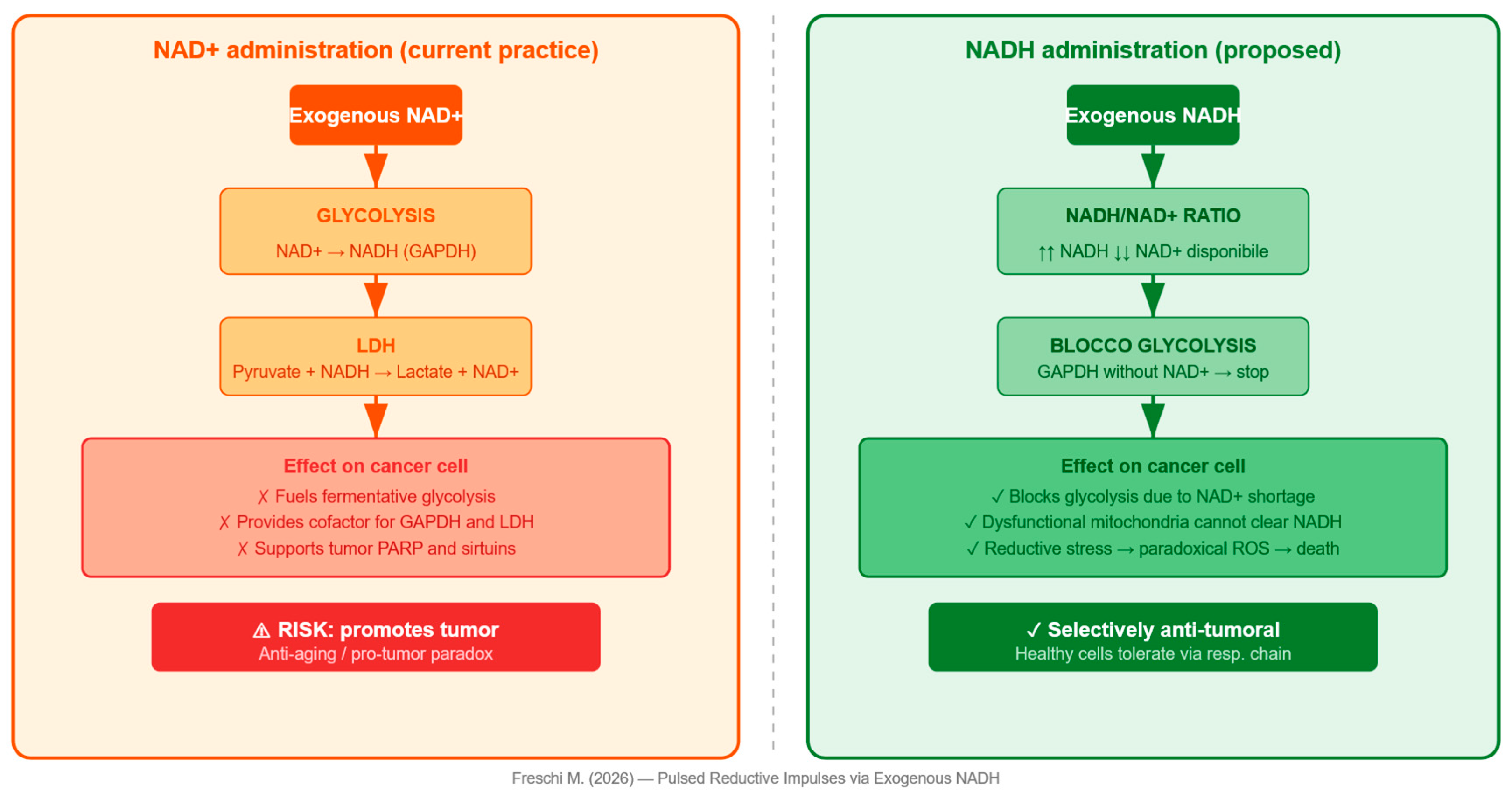 Preprints 206145 g001