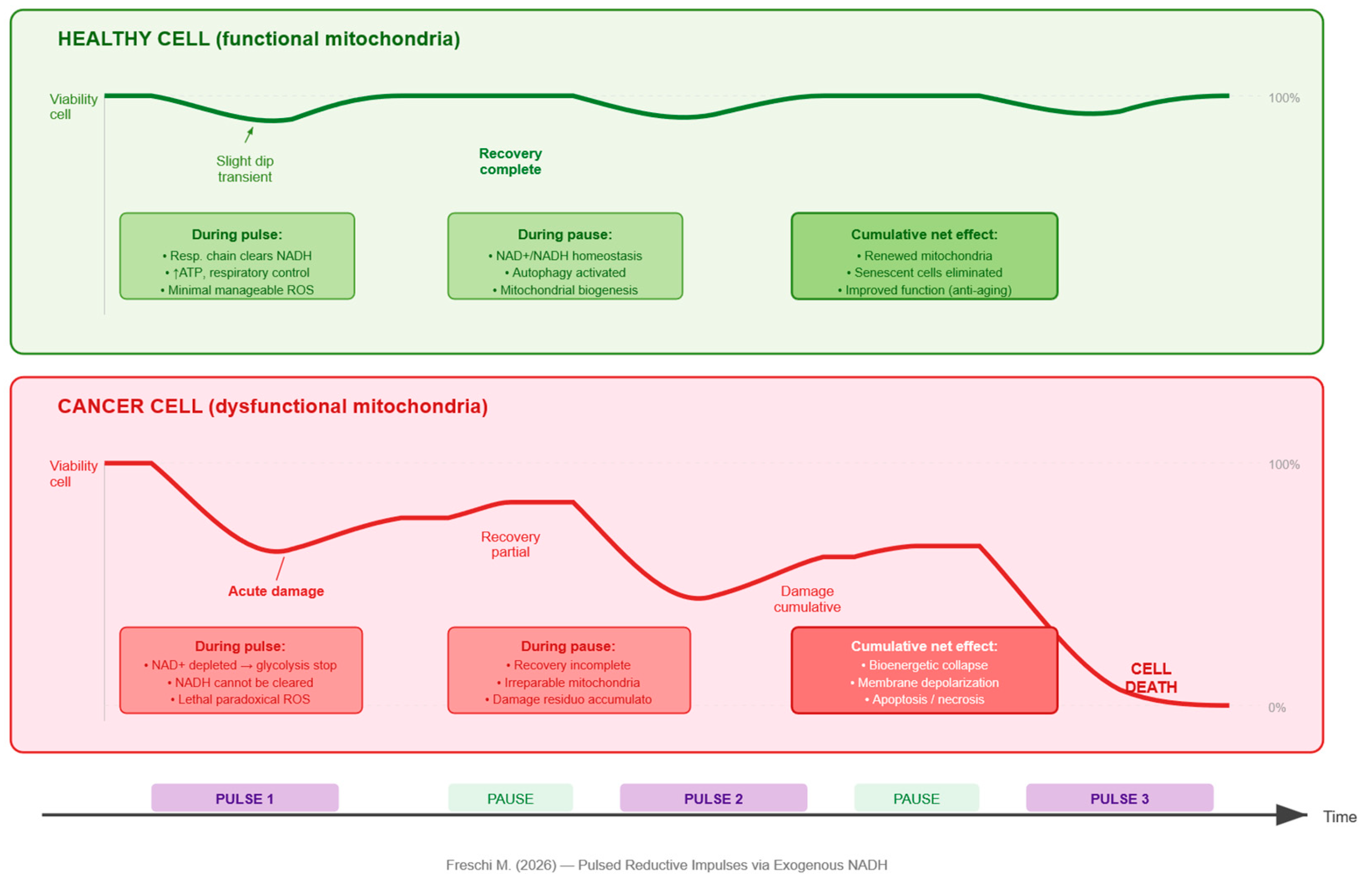 Preprints 206145 g002