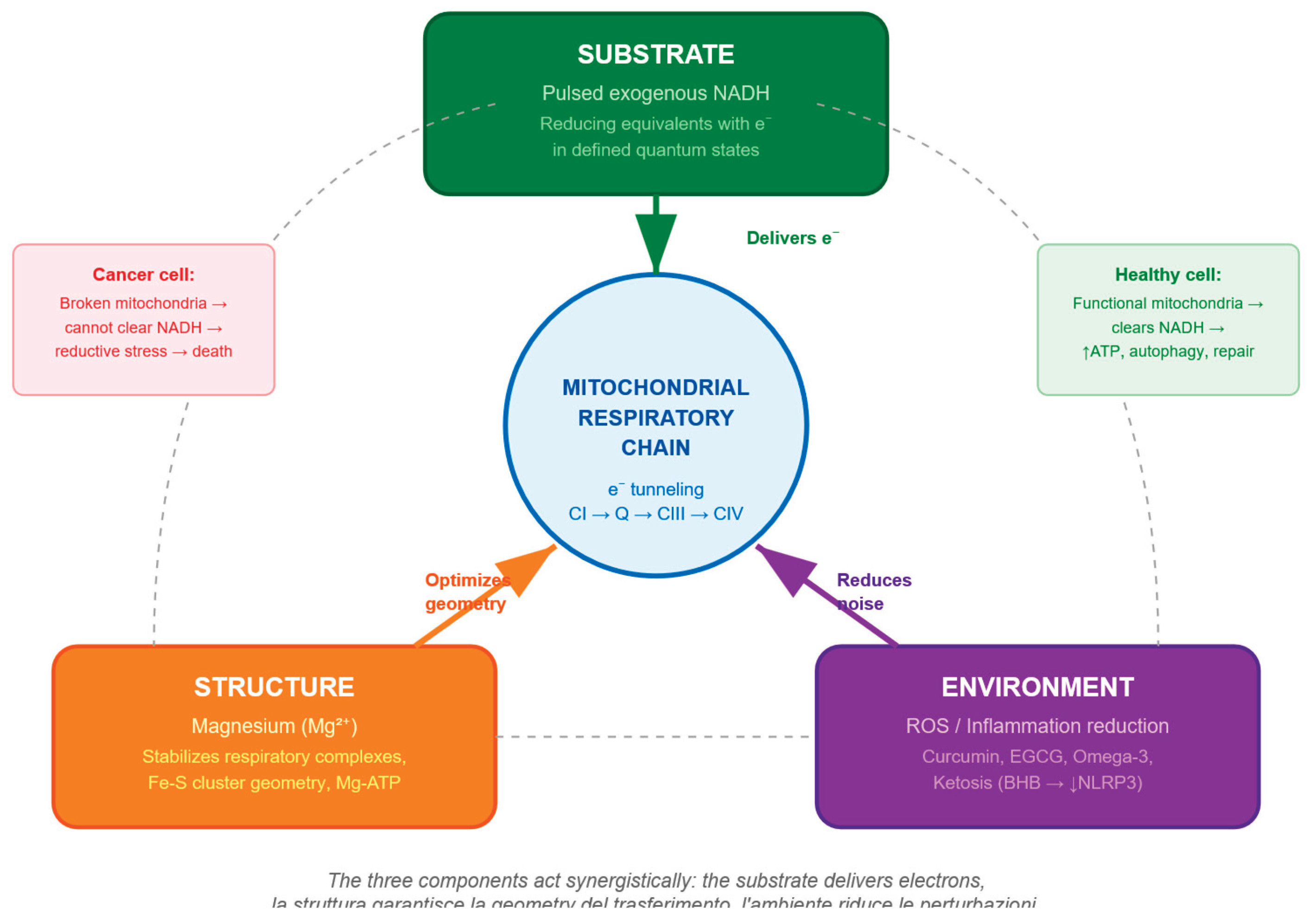 Preprints 206145 g003