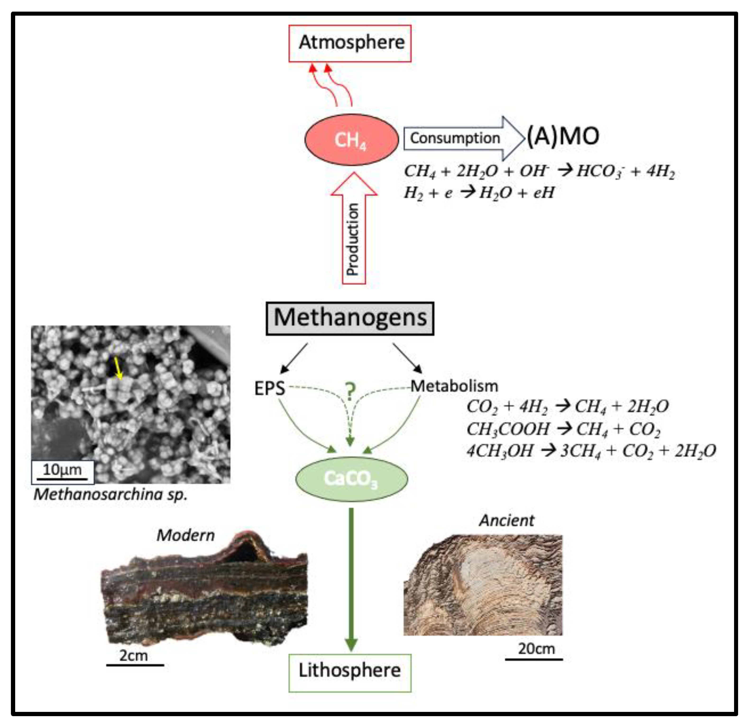 Preprints 191640 g002