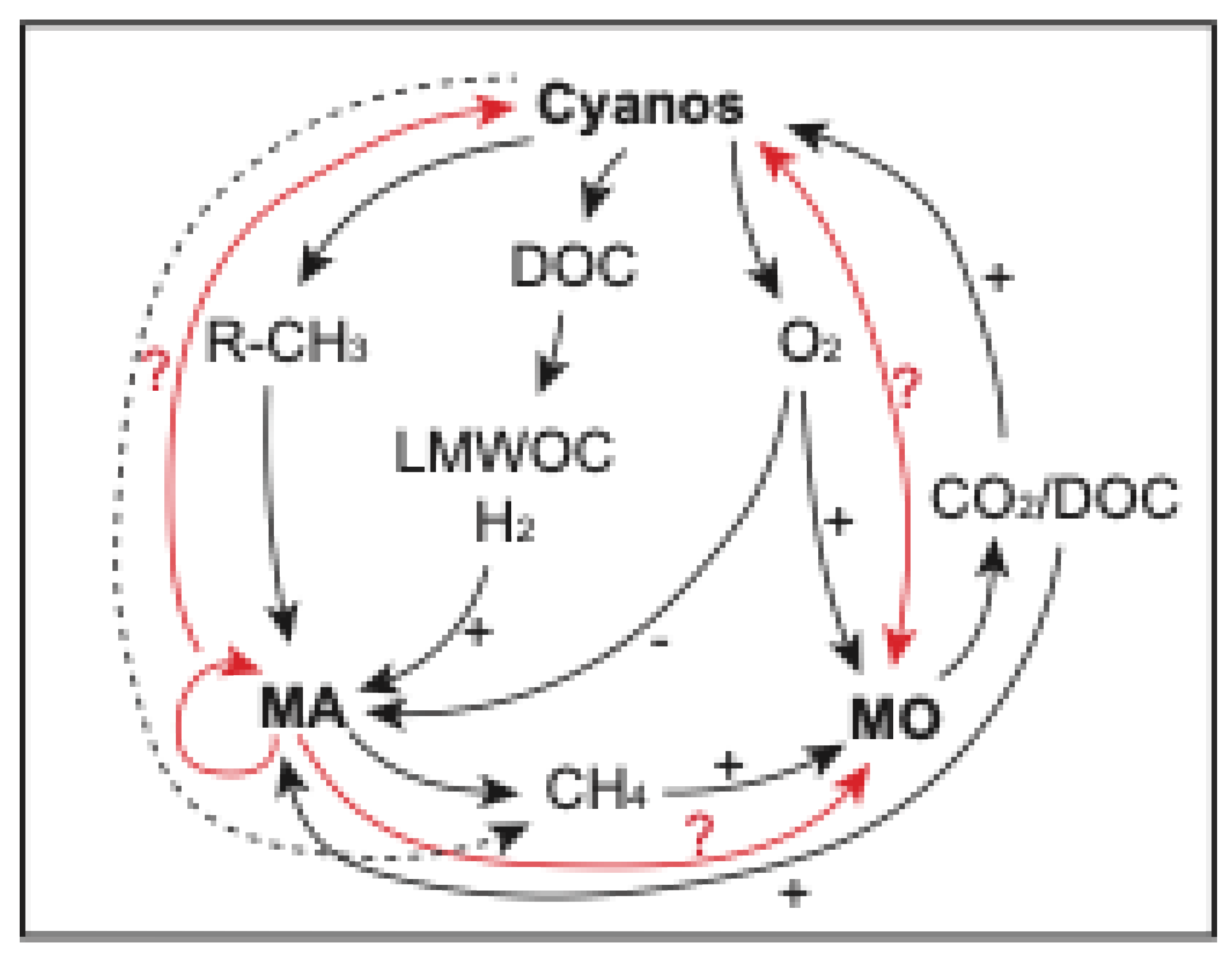 Preprints 191640 g003