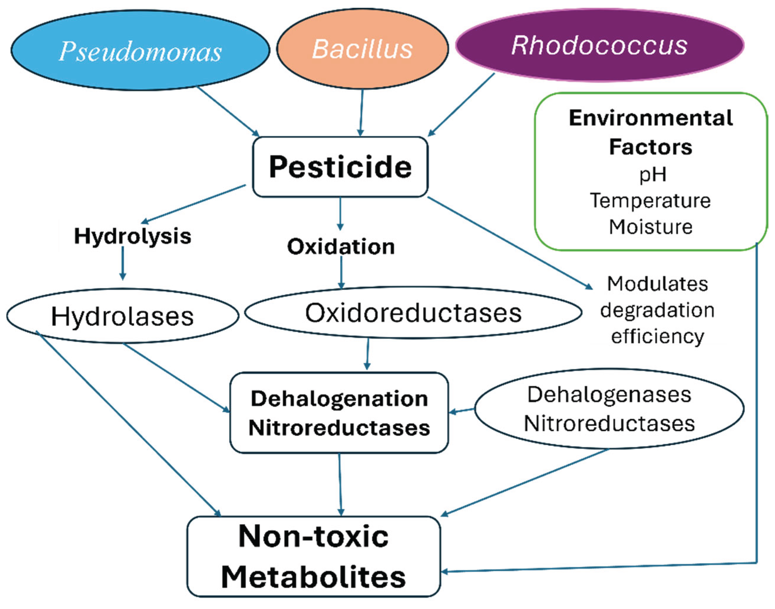 Preprints 179684 g001