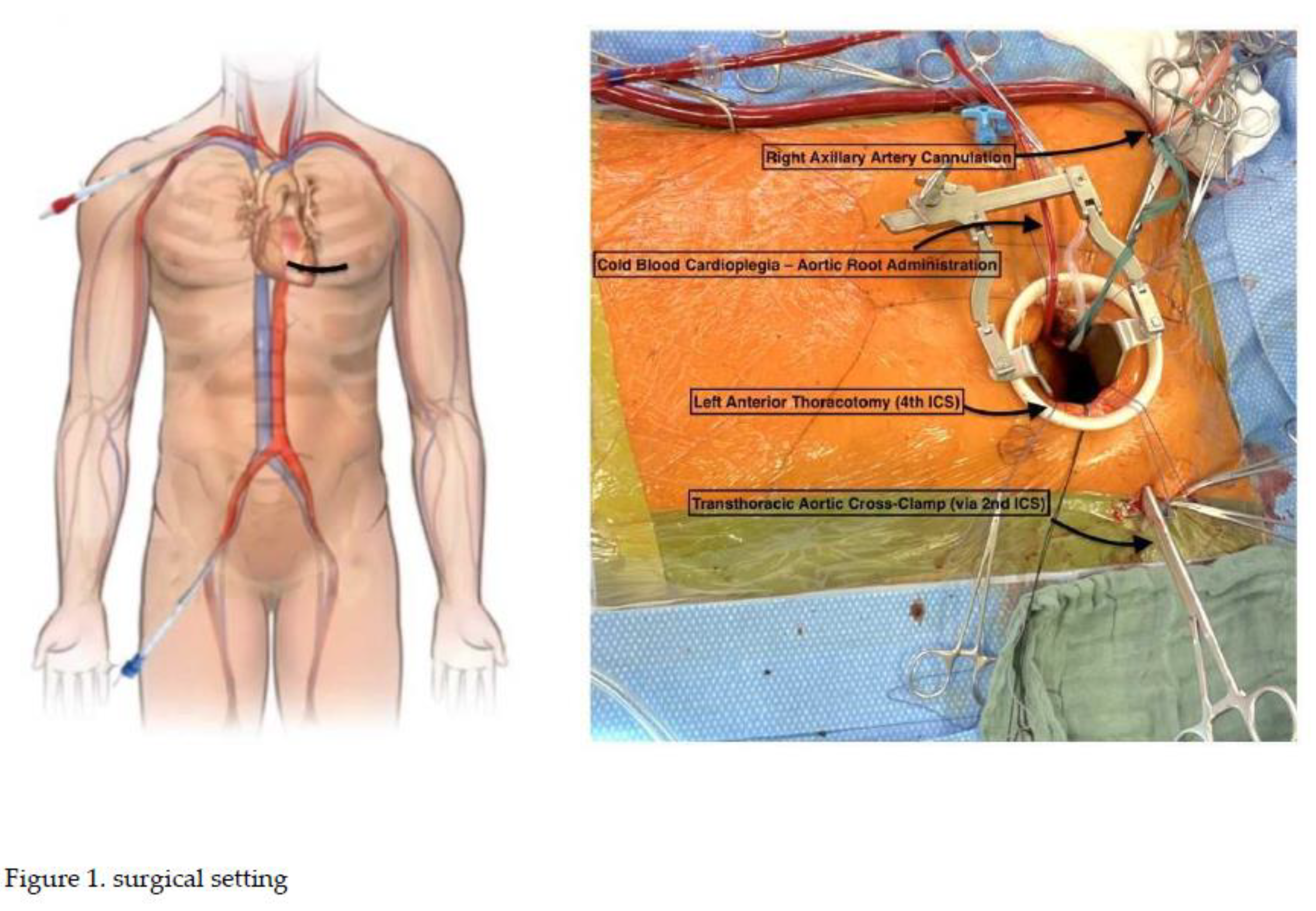 Preprints 186960 i001