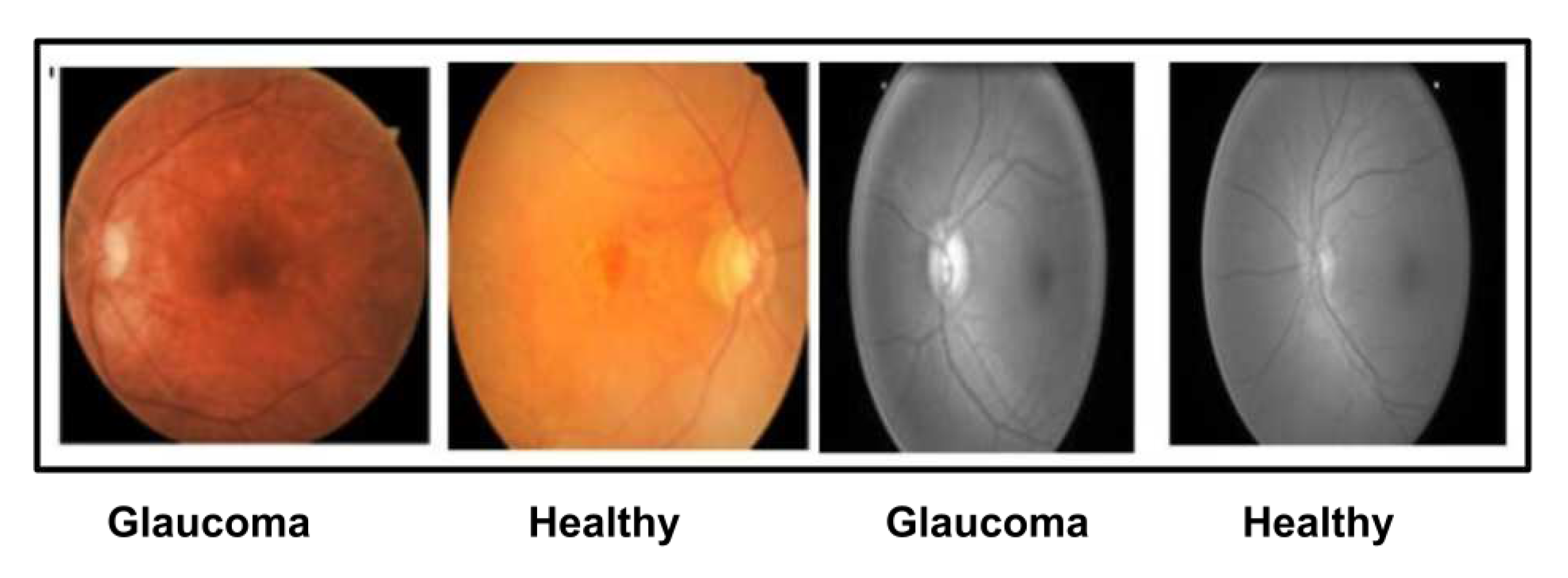 Preprints 90268 g002