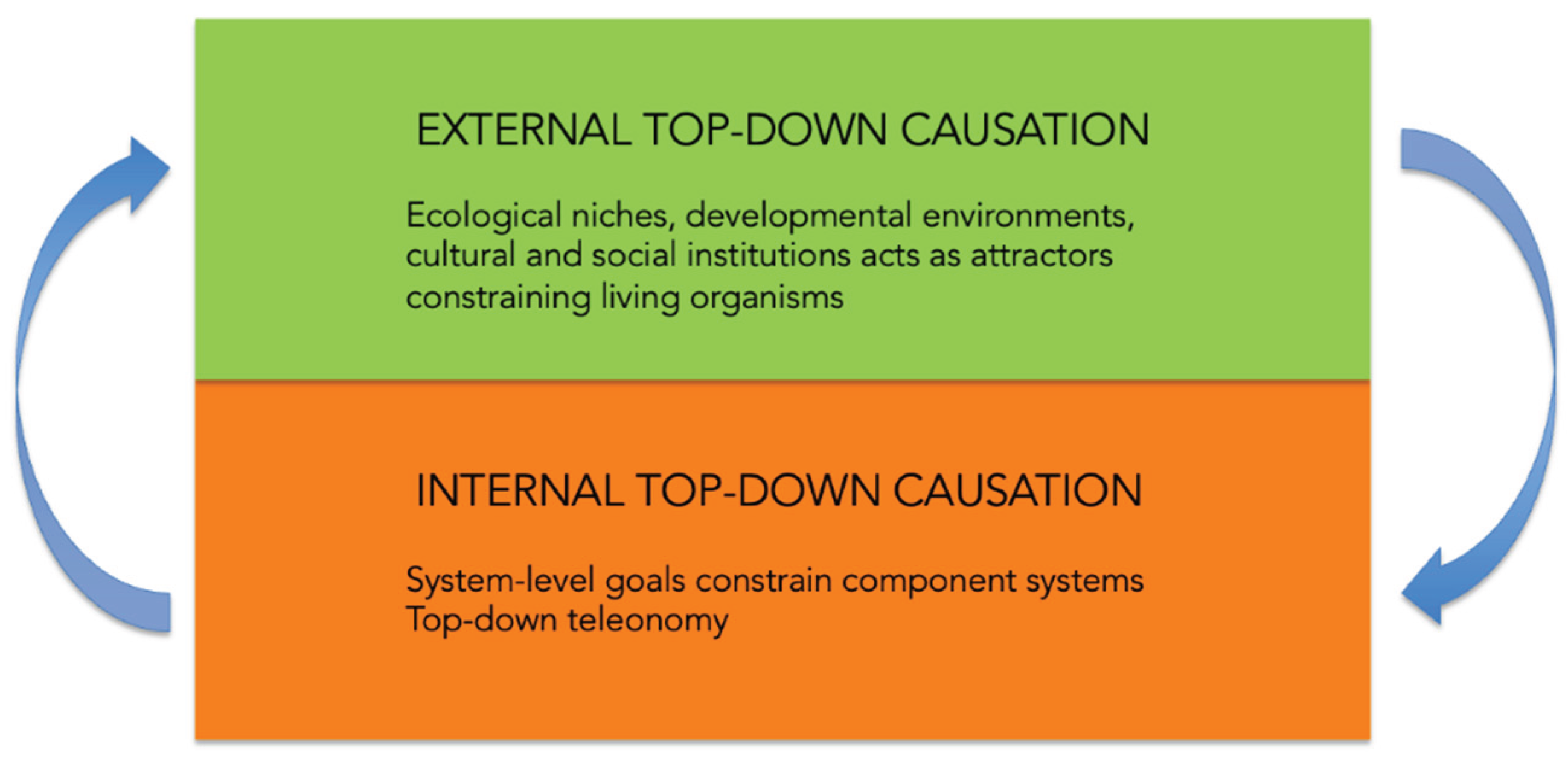 Preprints 176128 g001