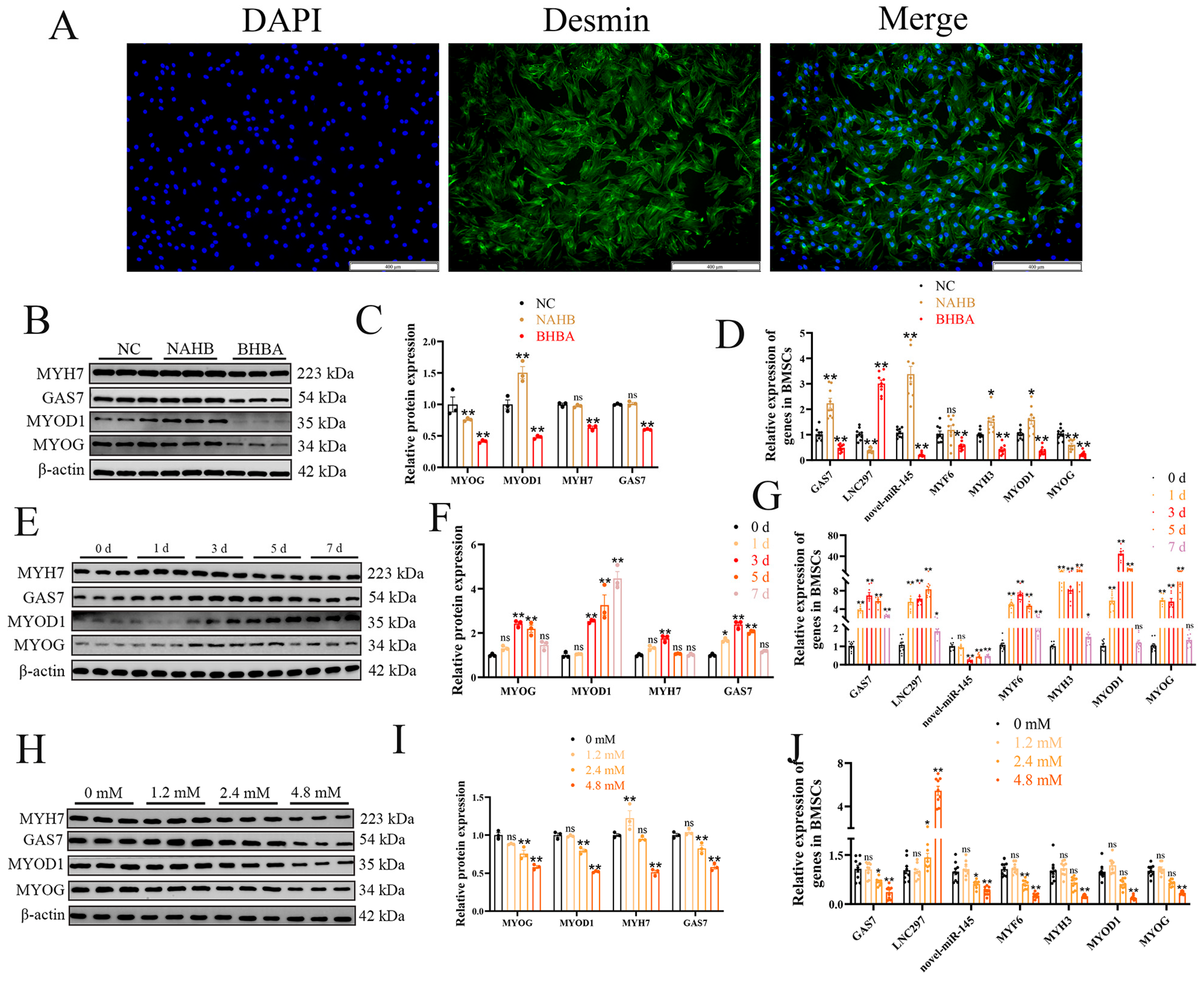 Preprints 195521 g001