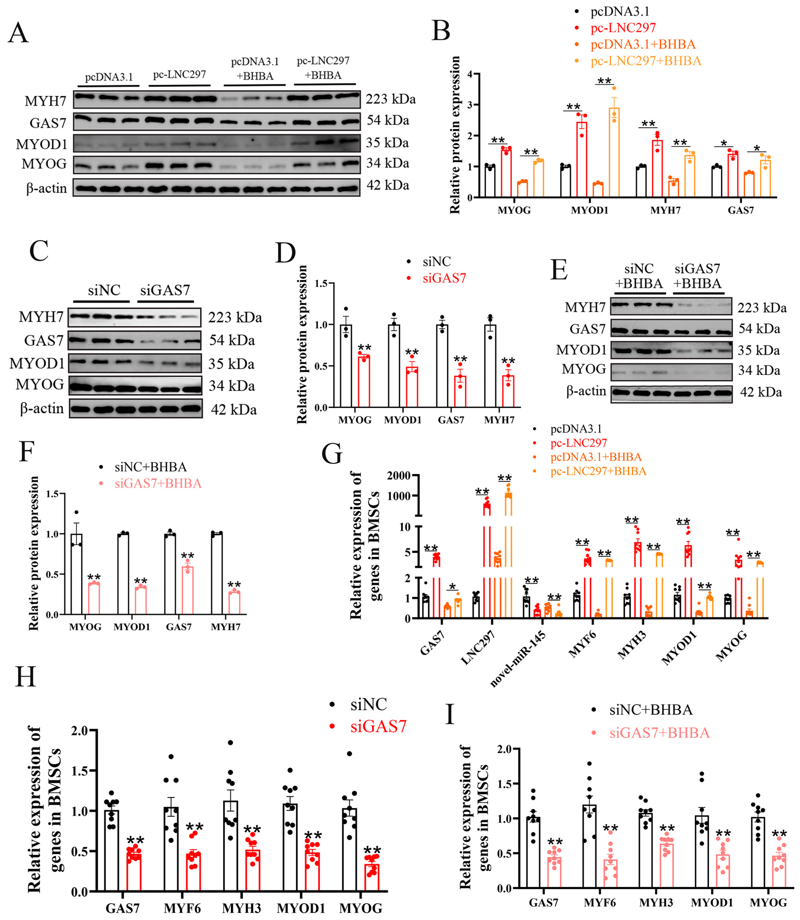 Preprints 195521 g003