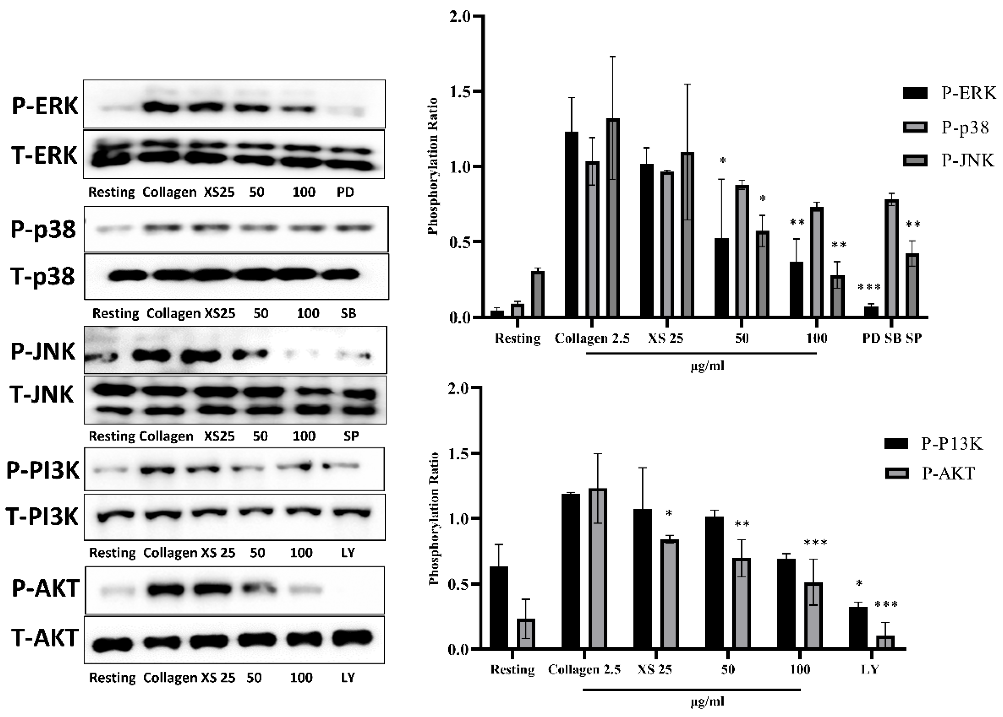 Preprints 186546 g004