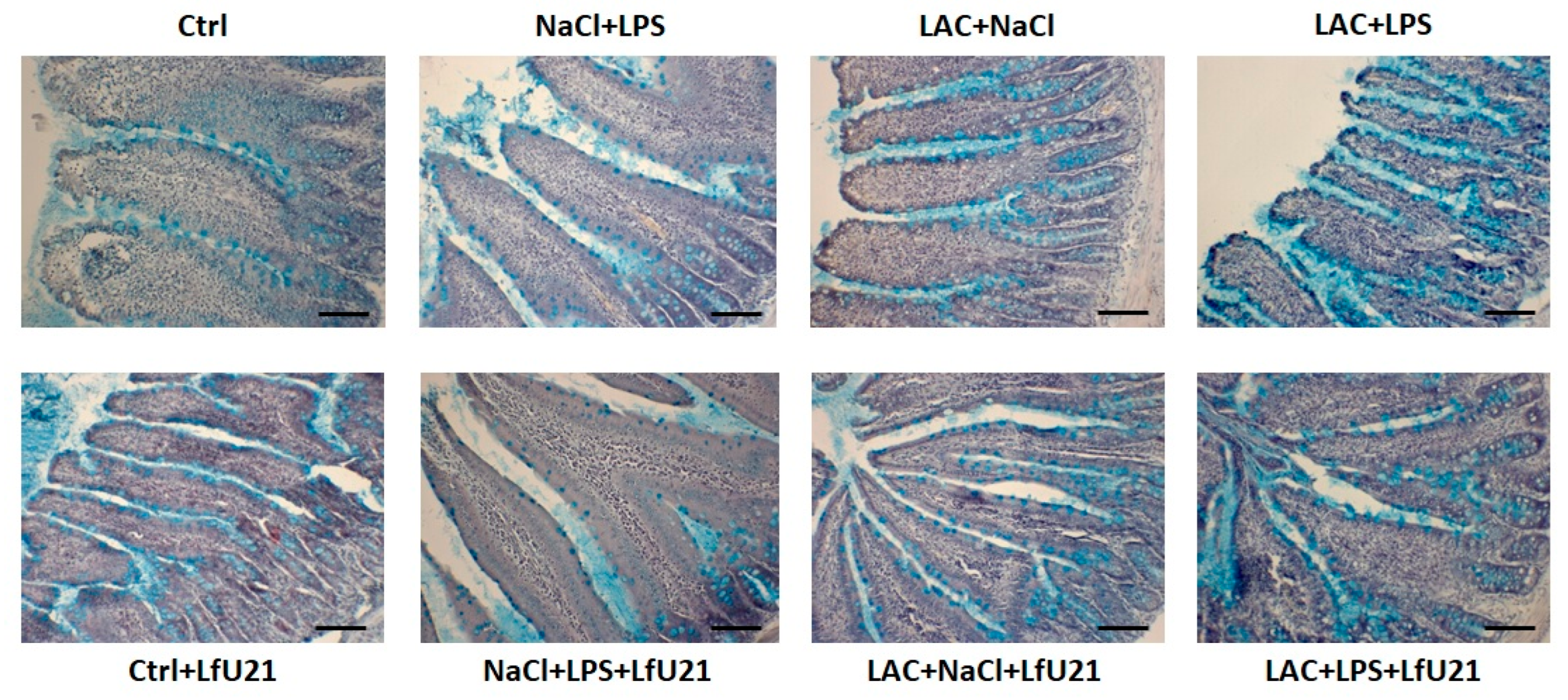 Preprints 187228 g011