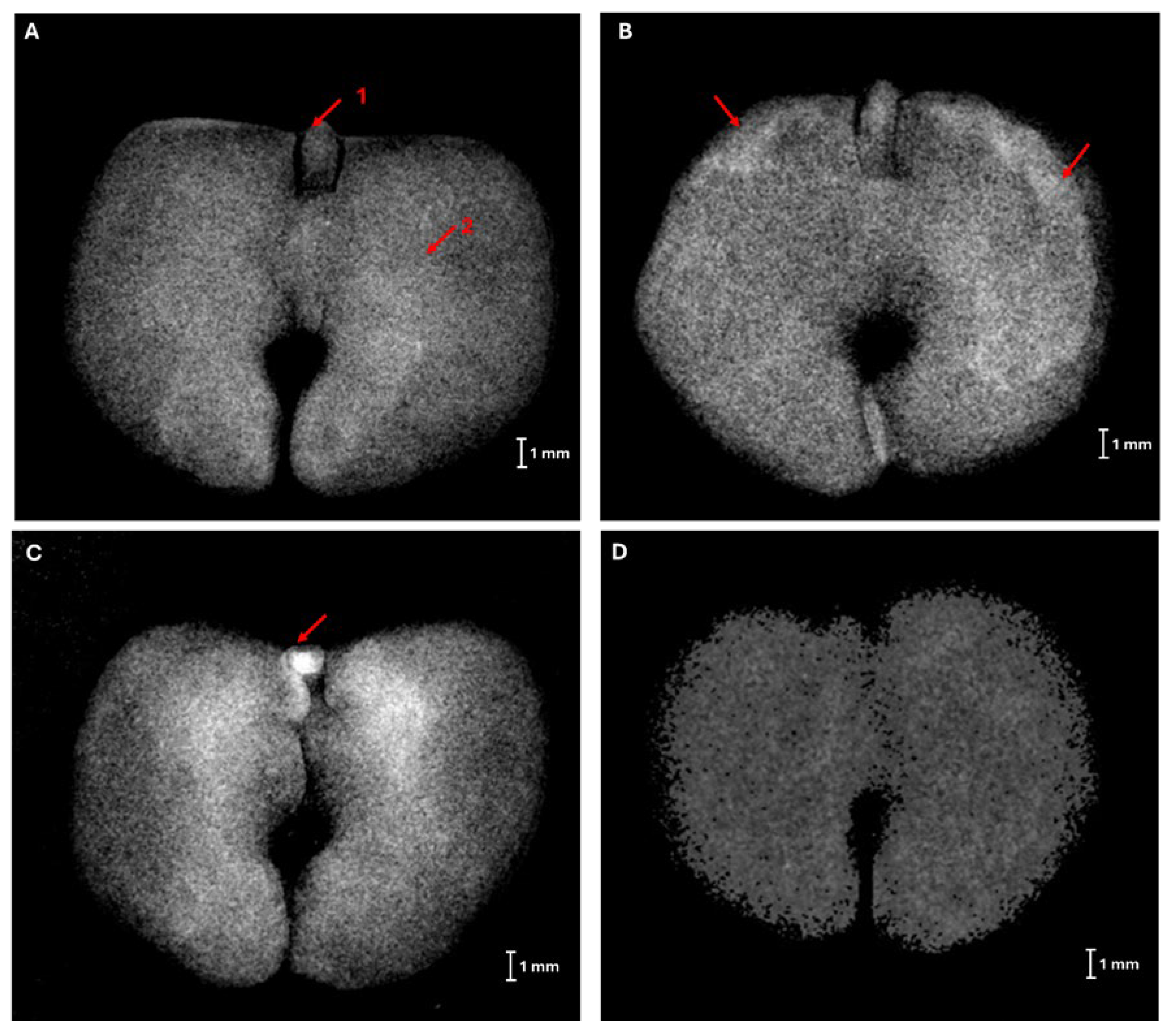 Preprints 138688 g002