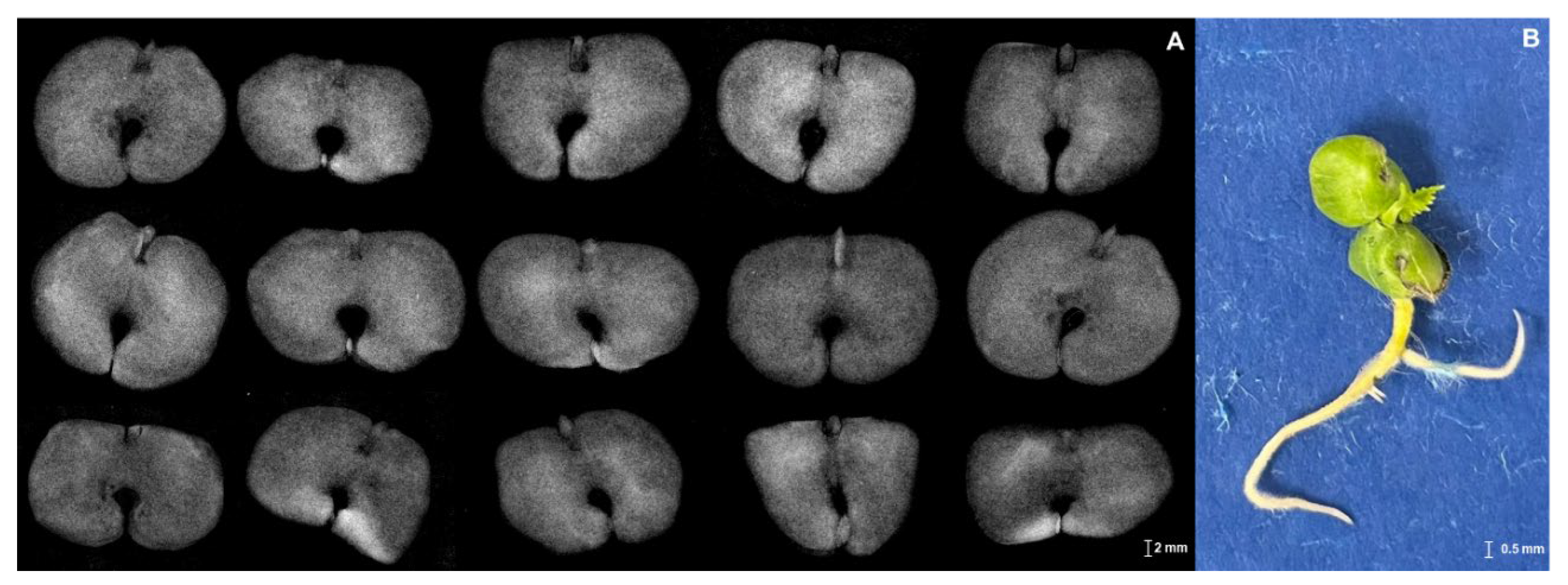 Preprints 138688 g003