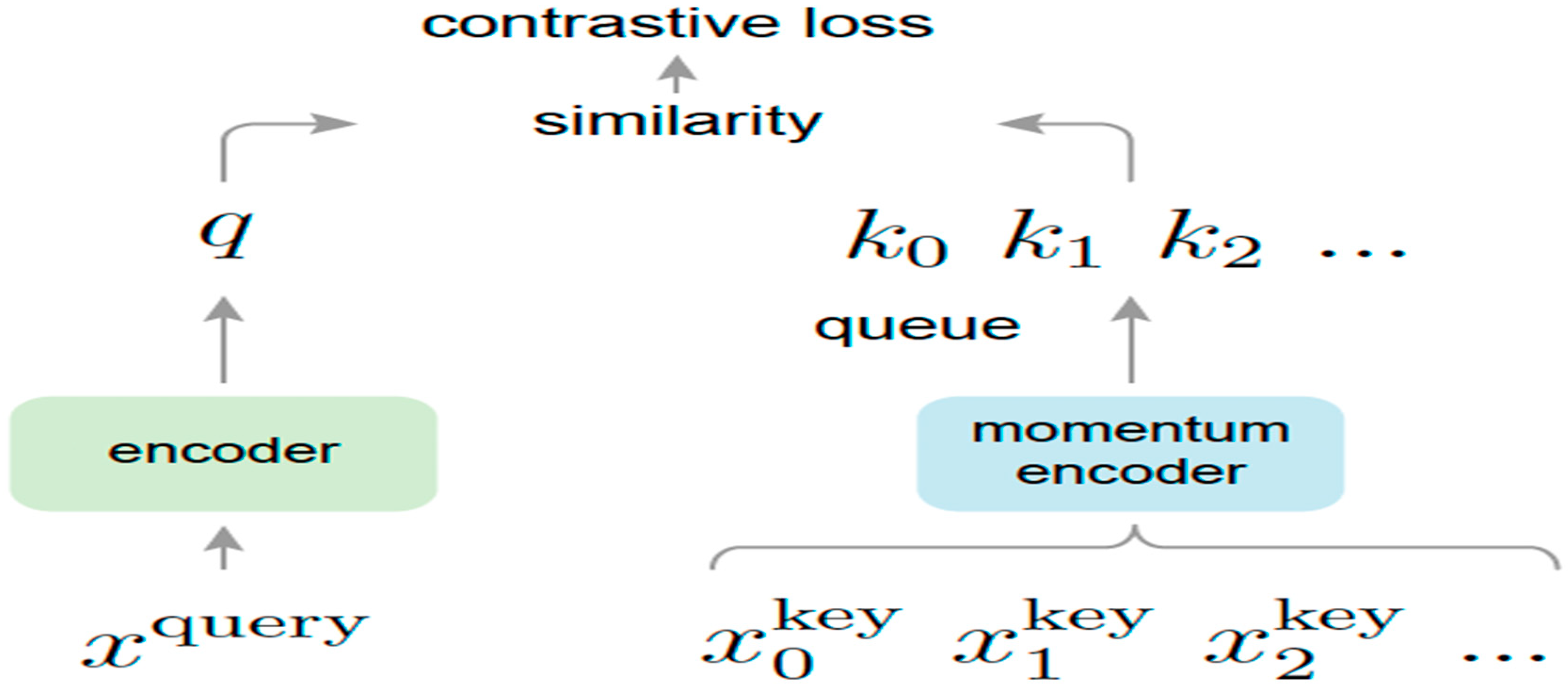 Preprints 145553 g002