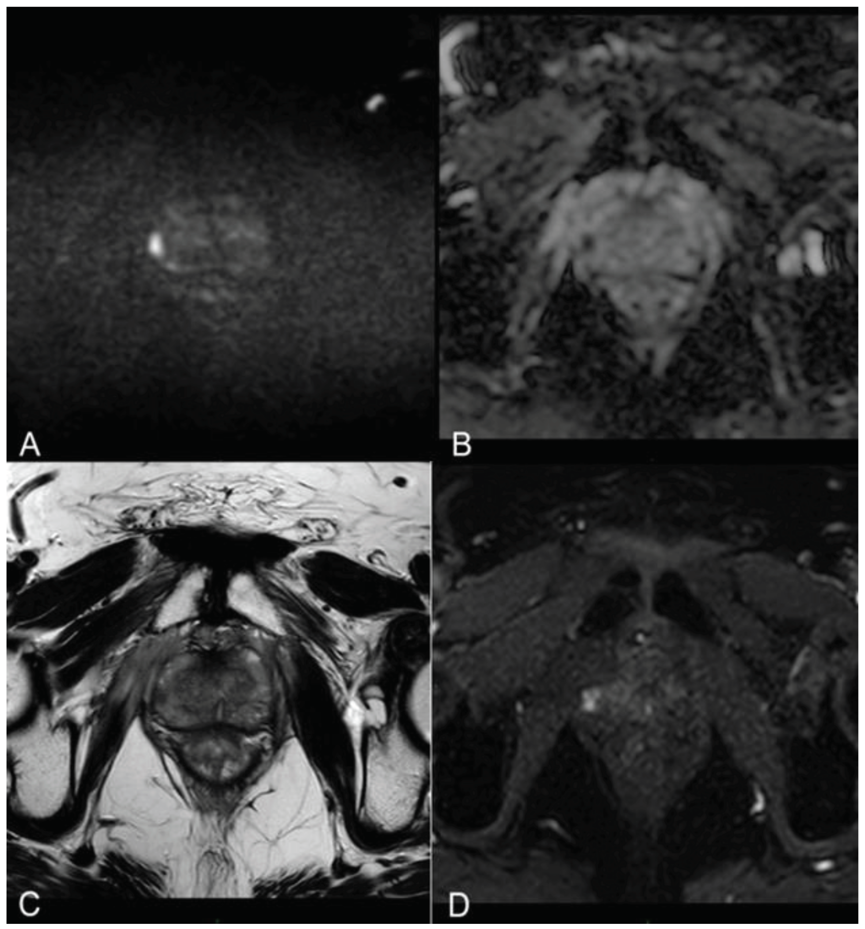 Preprints 99968 g001