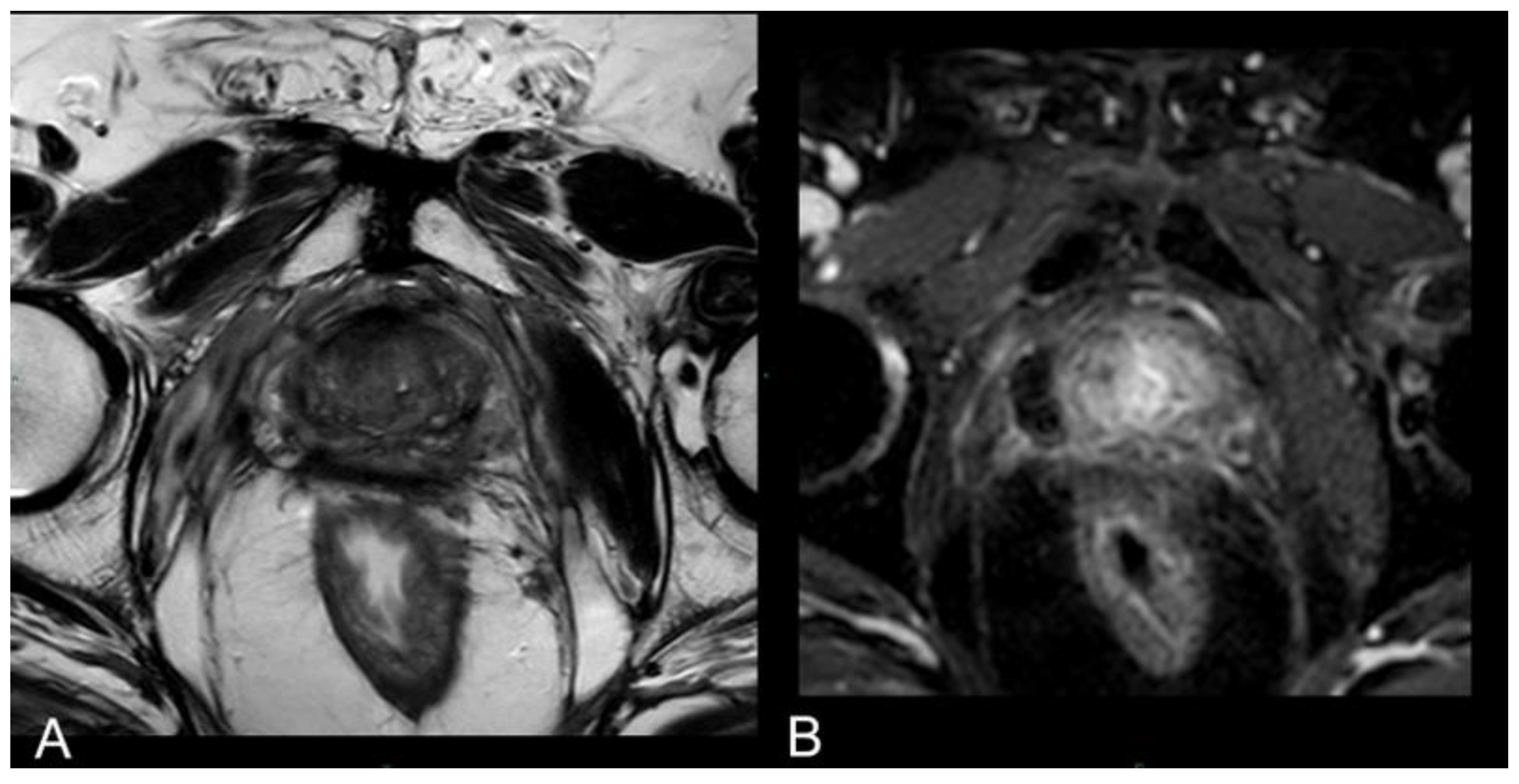 Preprints 99968 g003