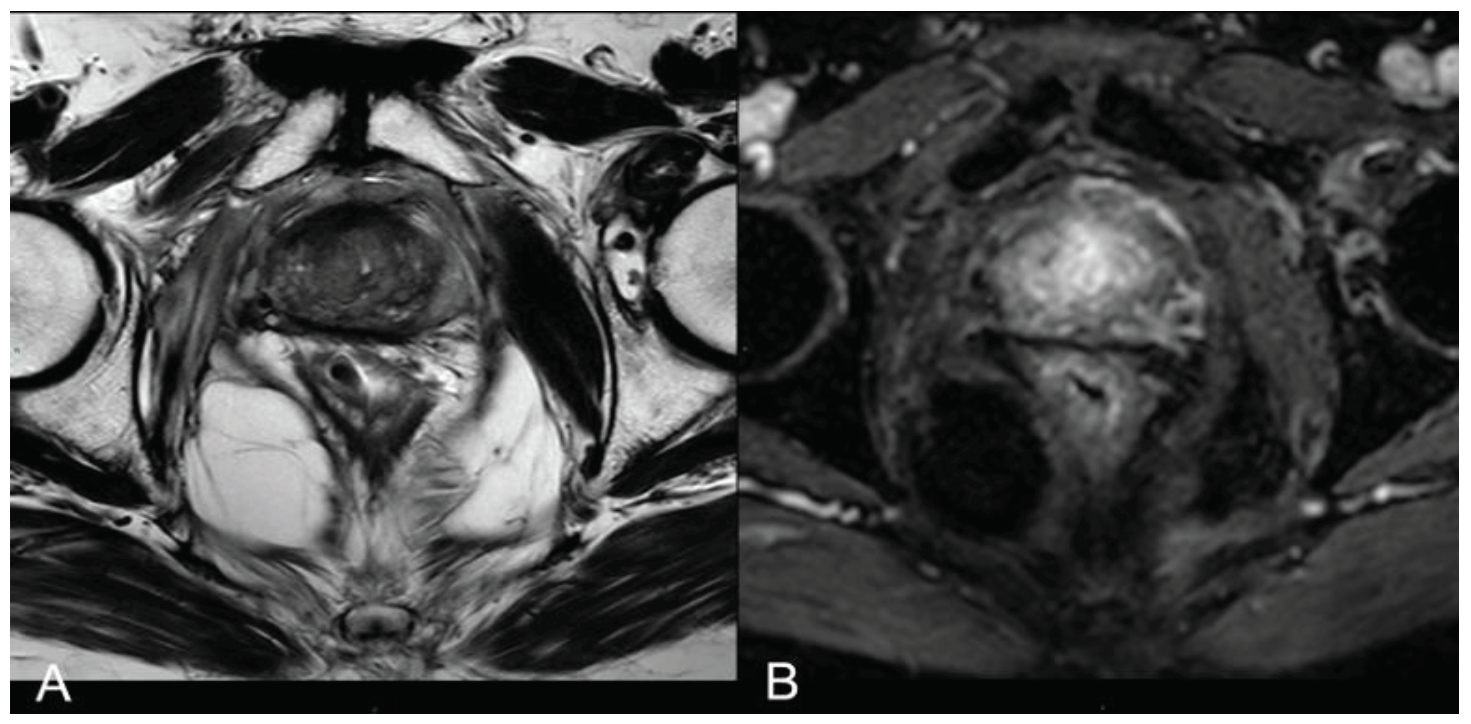 Preprints 99968 g004