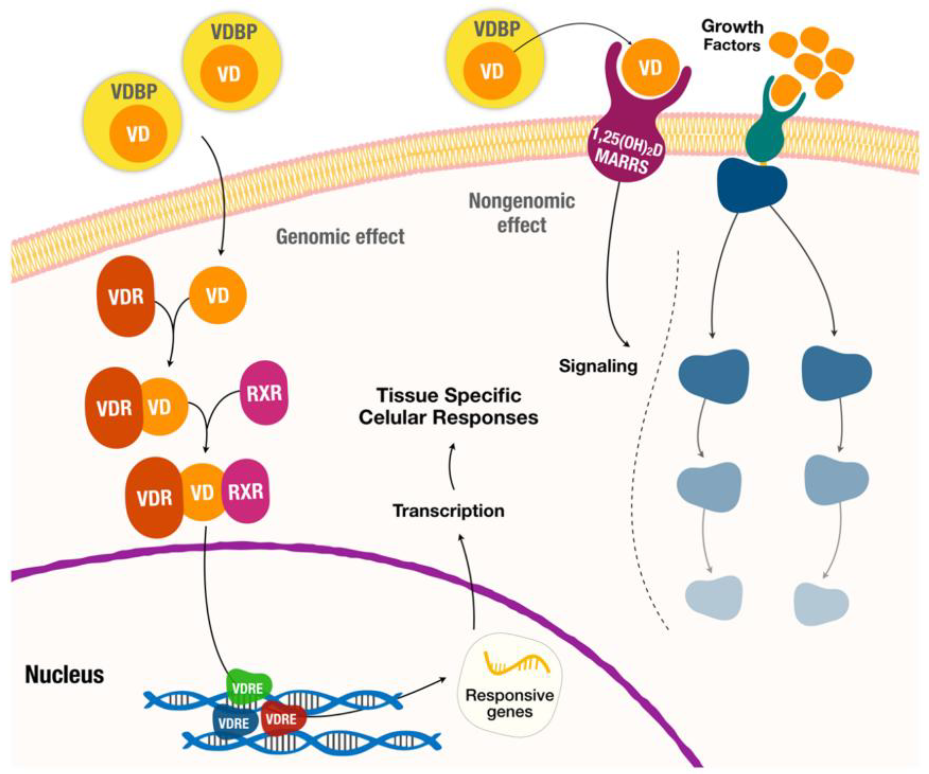 Preprints 153575 g001