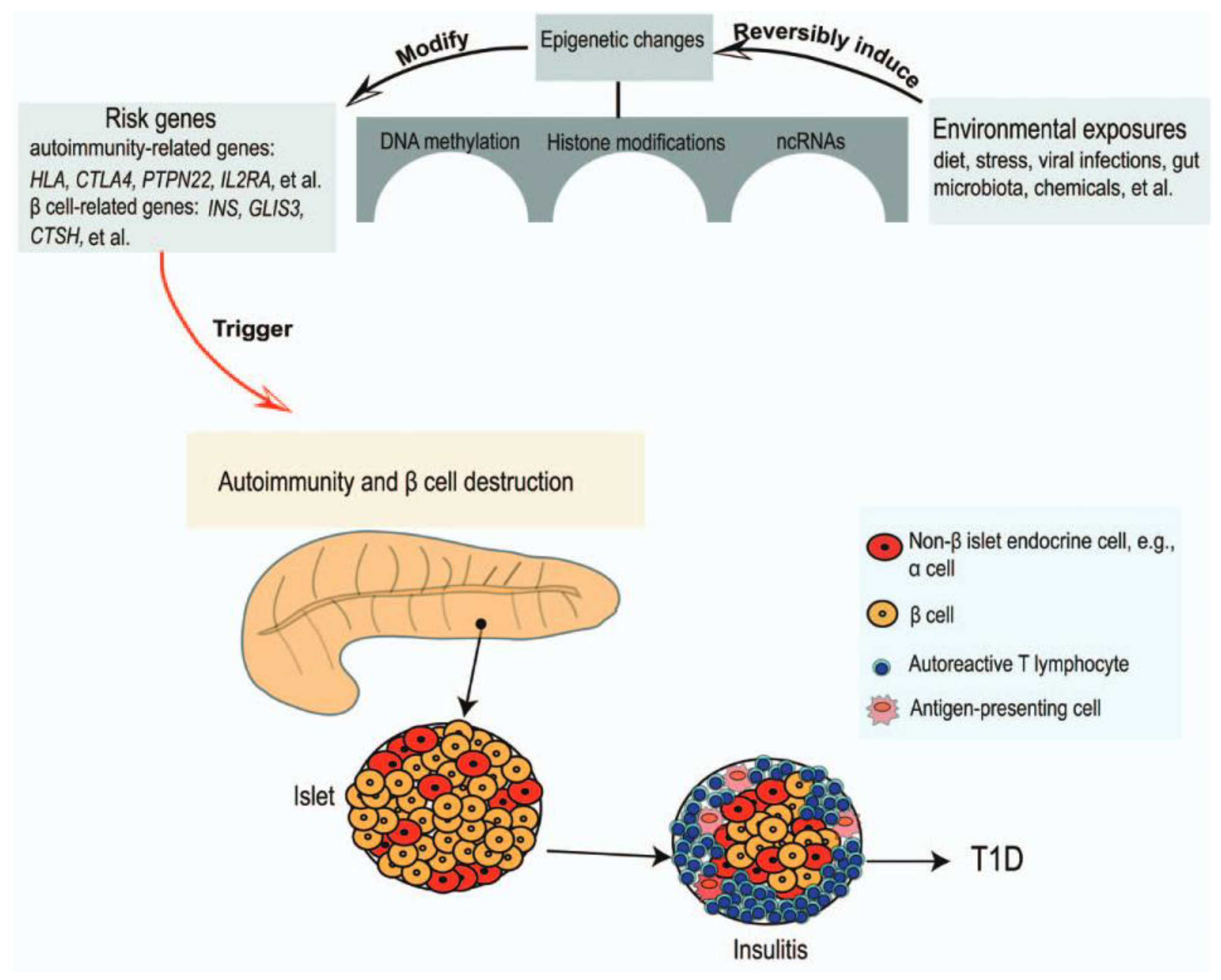 Preprints 153575 g002